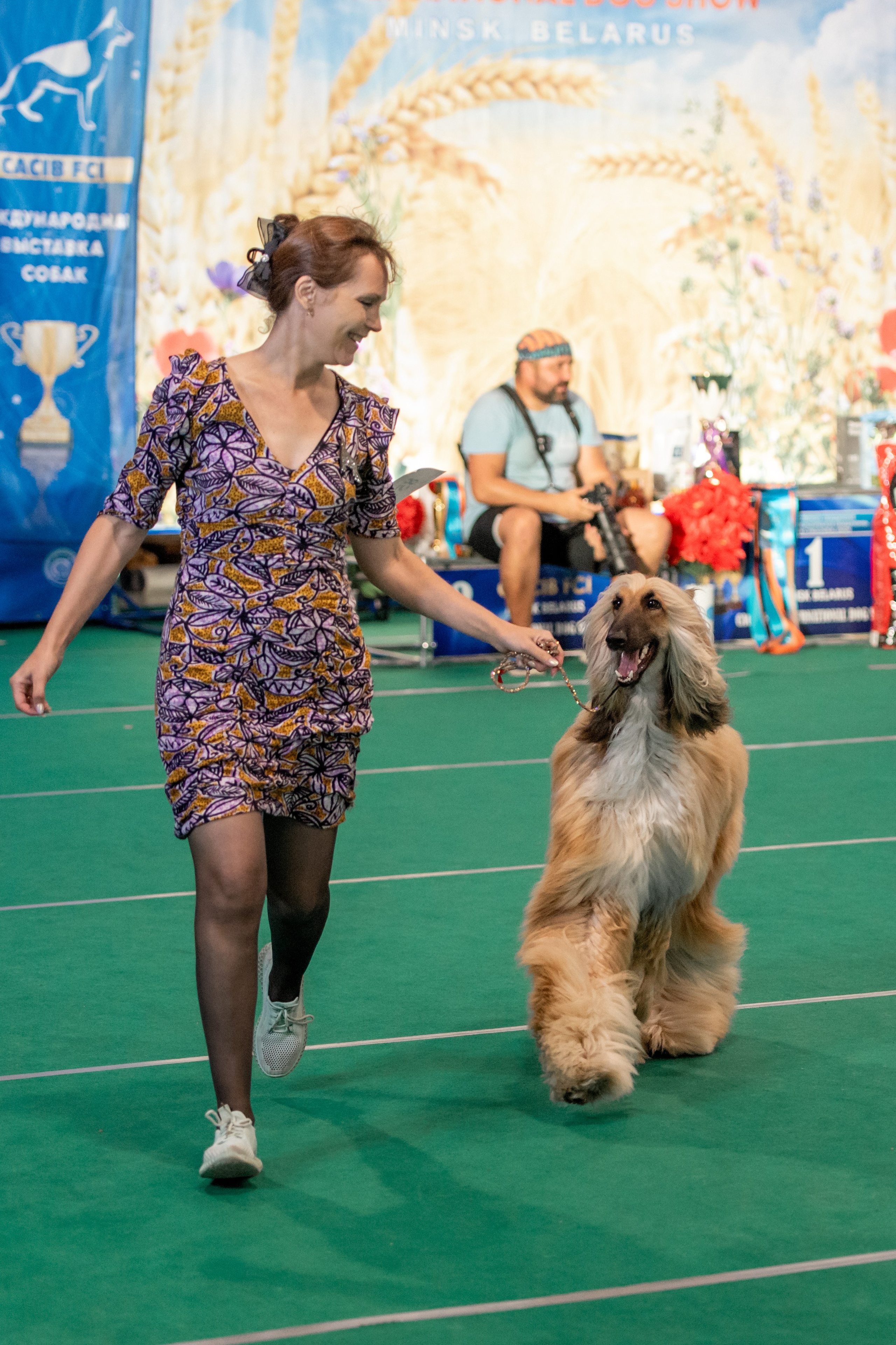 06-07.09.25 Международная выставка собак, Минск, CACIB, FCI. Галерея фотографий афганской борзой