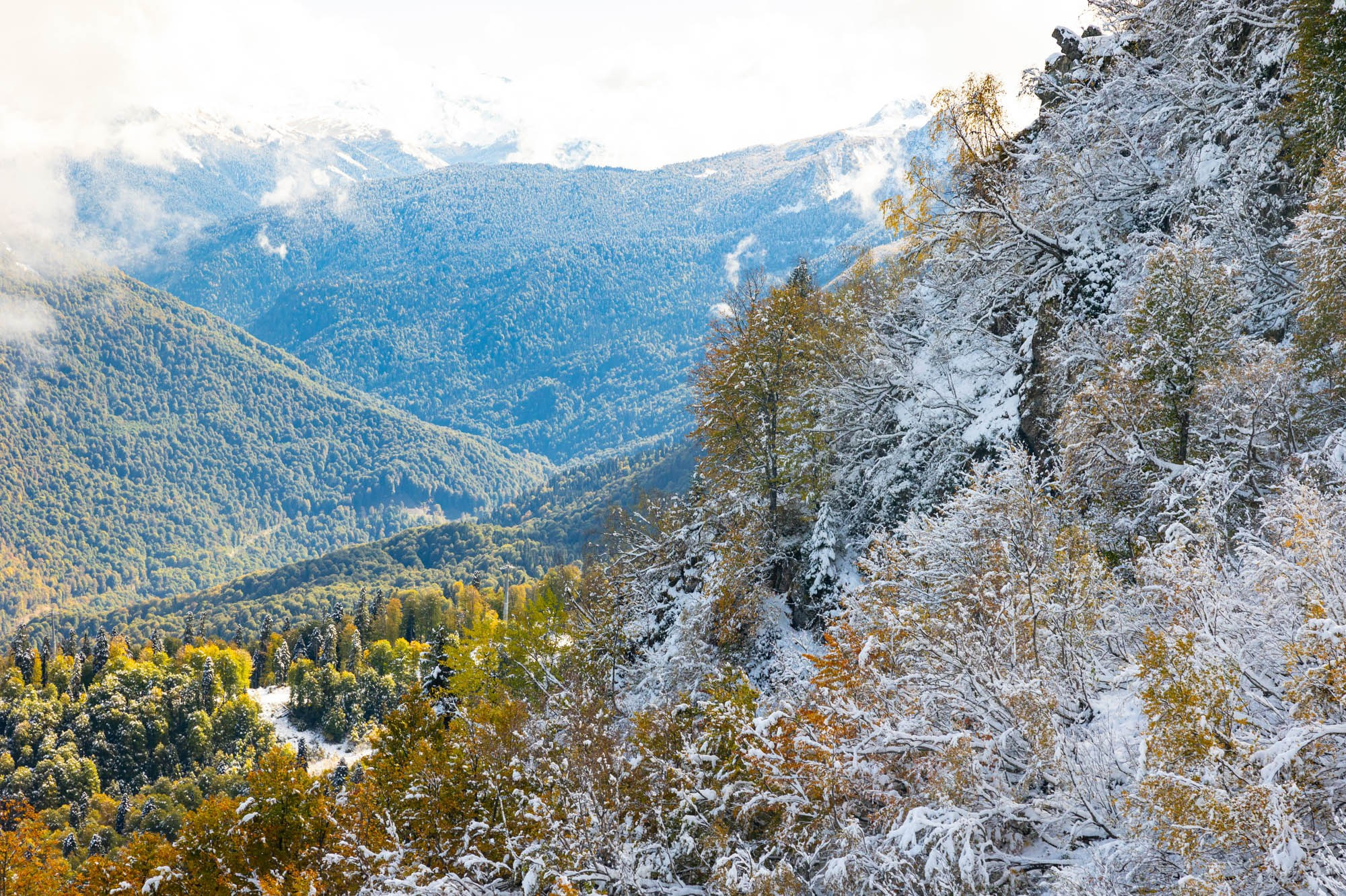 Детский лагерь ФОКС КЭМП. Фотограф Красная Поляна — Сочи — Москва
