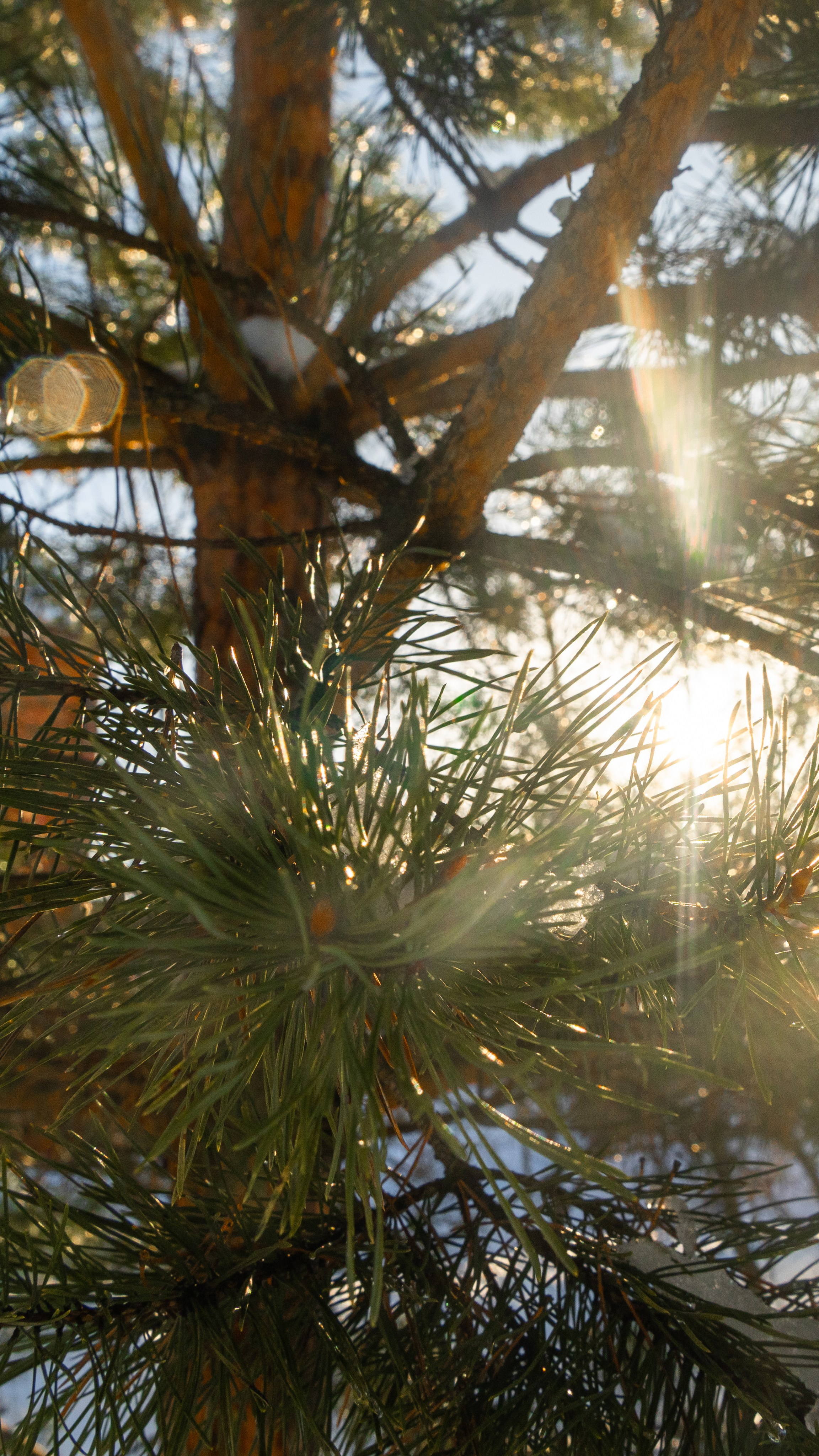 Стрит‑фото: жизнь города в кадре — реальные моменты. FM Media Сrew. Репортажные фото и видео