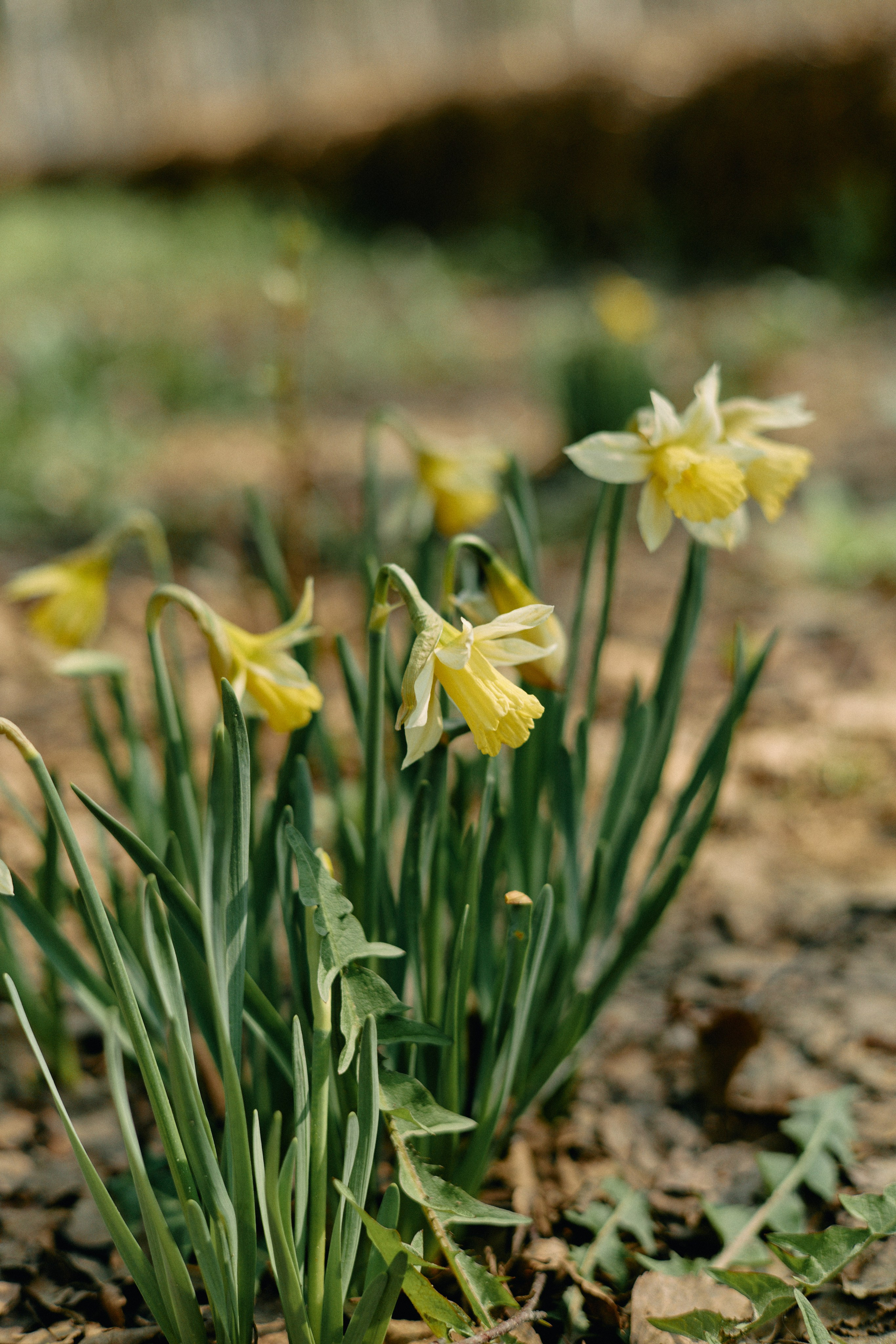 Бутик-отель Поле летом. Профессиональный Фотограф во Владимире, в Москве и в Суздале — Полина Романычева