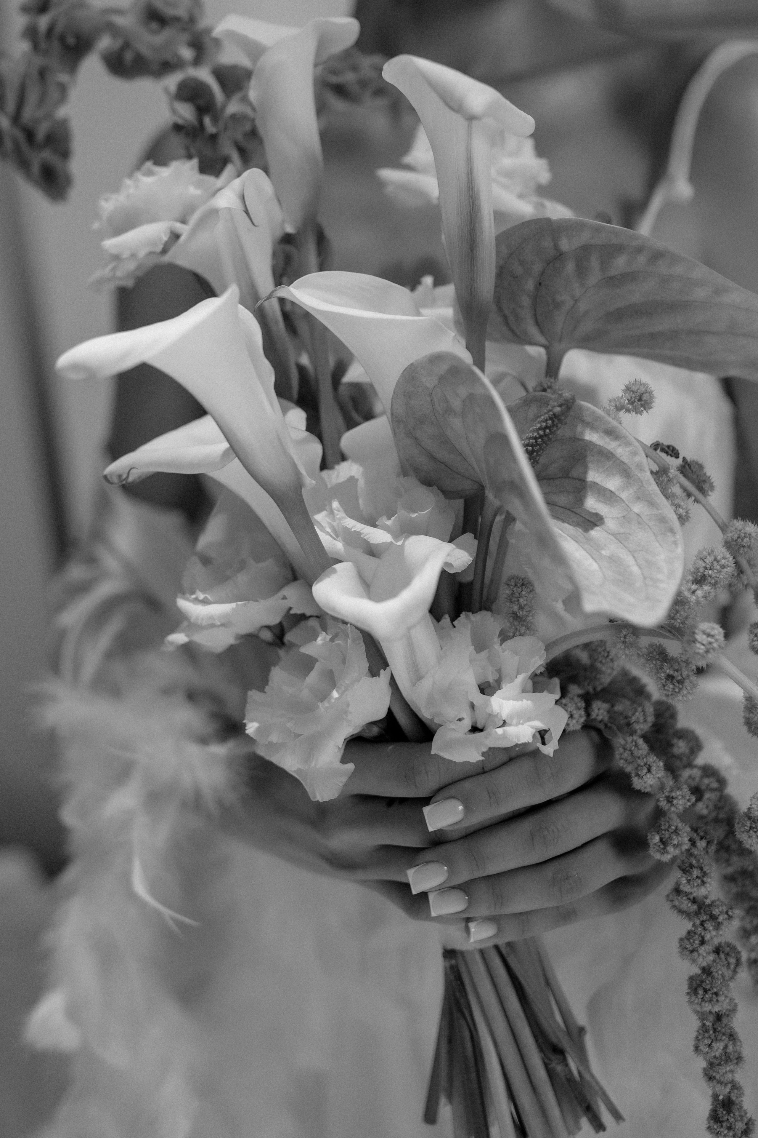 Портфолио. Свадебный фотограф в Москве и Твери