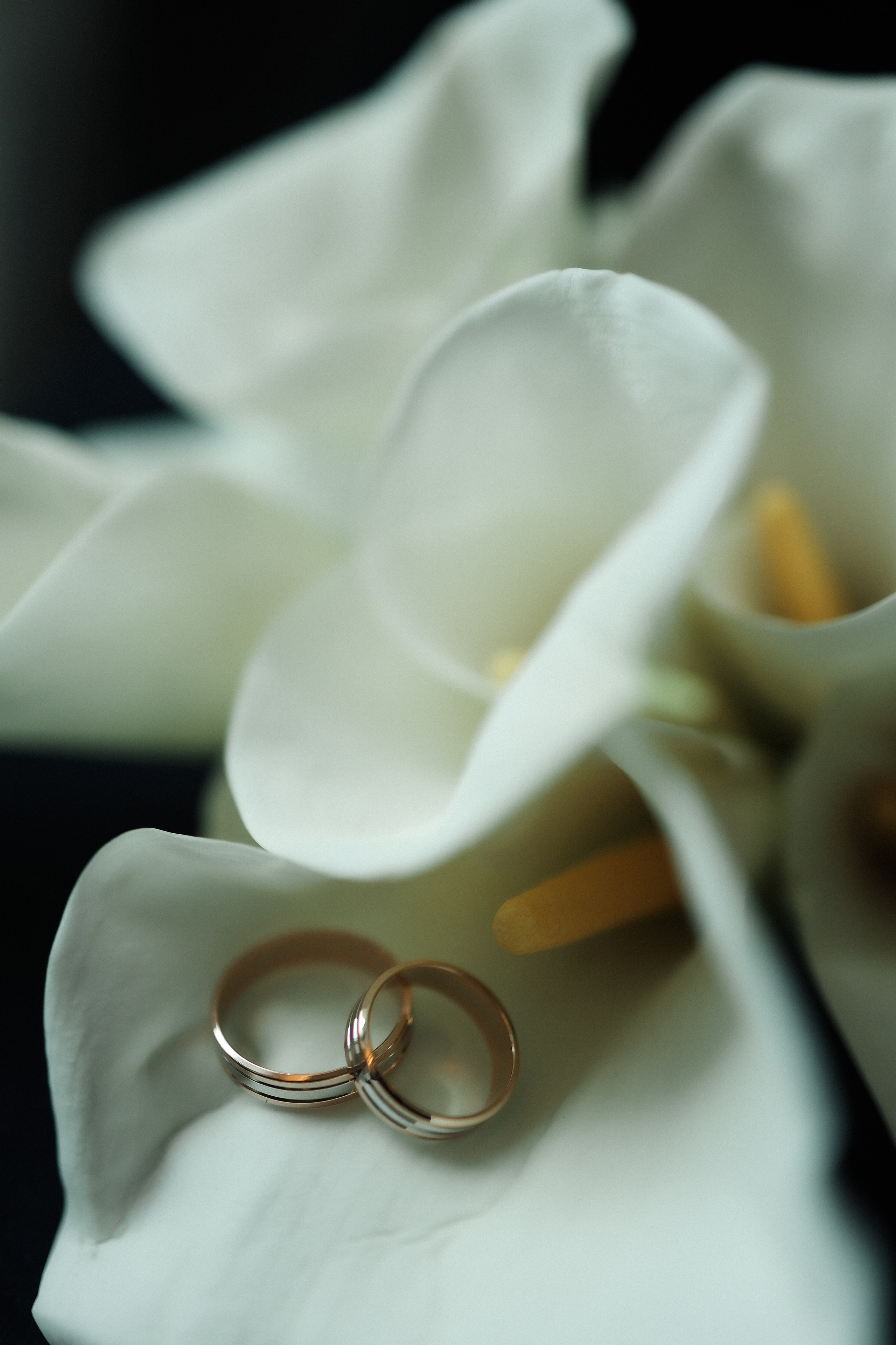 В. + А. Таганский ЗАГС + Movenpick Taganskaya. Семейный и lovestory фотограф в Москве Светлана Коняхина