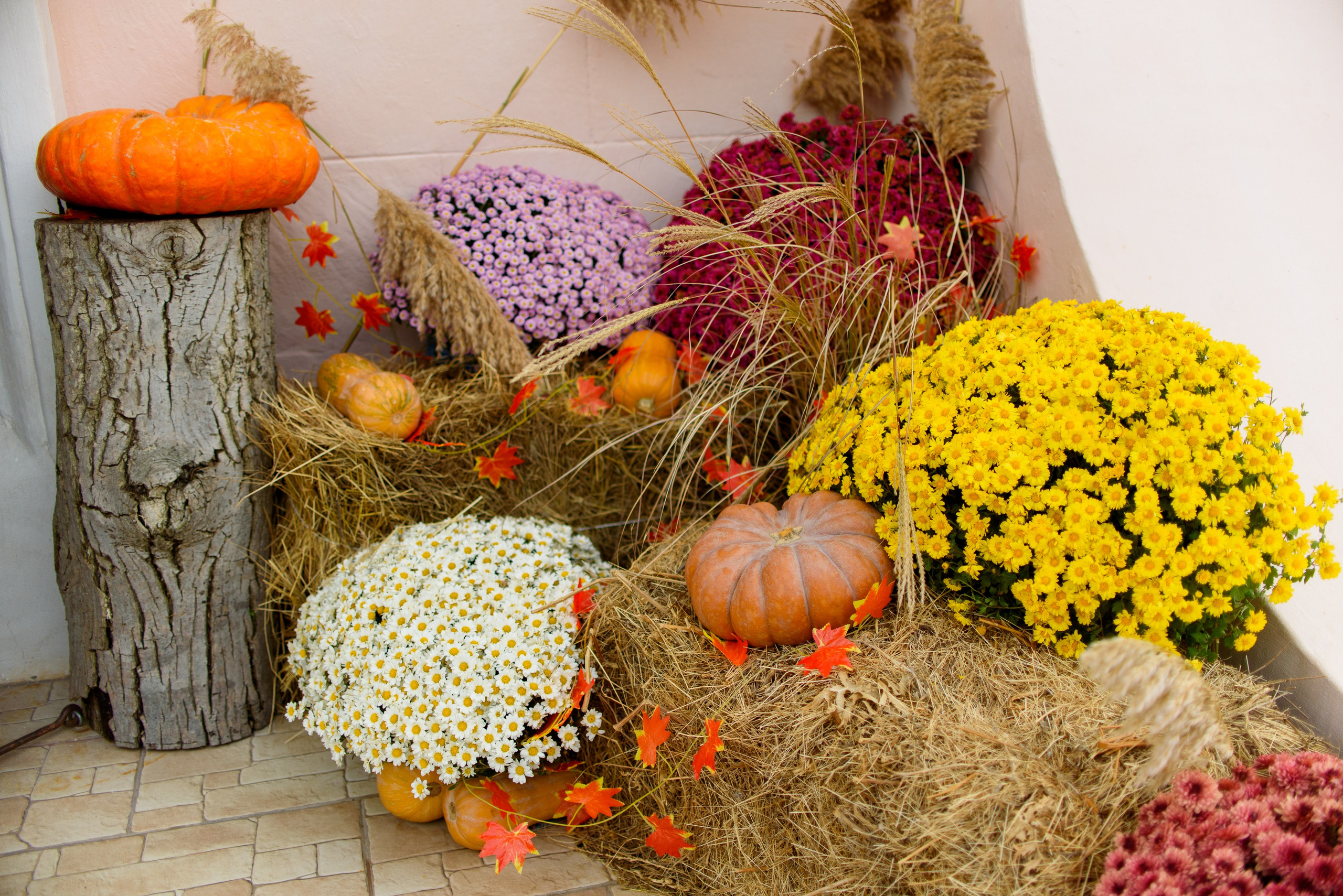 День памяти Казанской иконы Божьей Матери 4.11.2023. Семейный и свадебный фотограф в Феодосии и Коктебеле