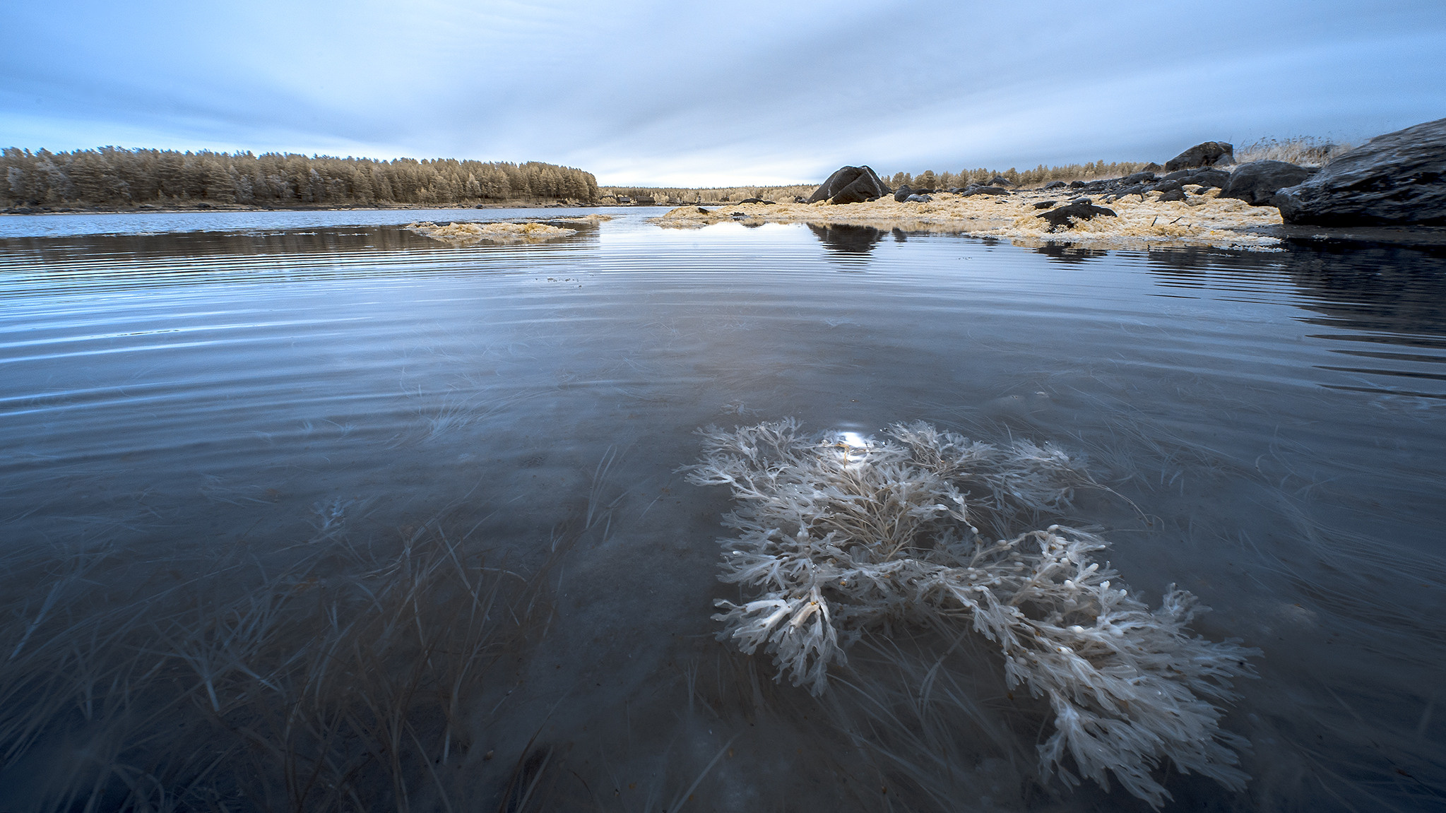 Пейзажи фотографа Андрея Кривошеина. Профессиональная фотосъемка. Ростов-на-Дону