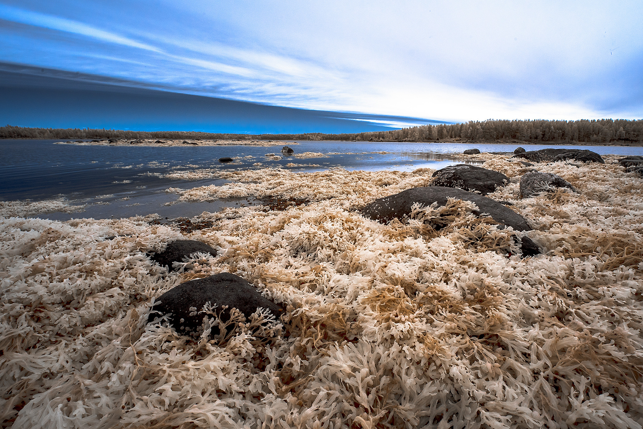 Пейзажи фотографа Андрея Кривошеина. Профессиональная фотосъемка. Ростов-на-Дону