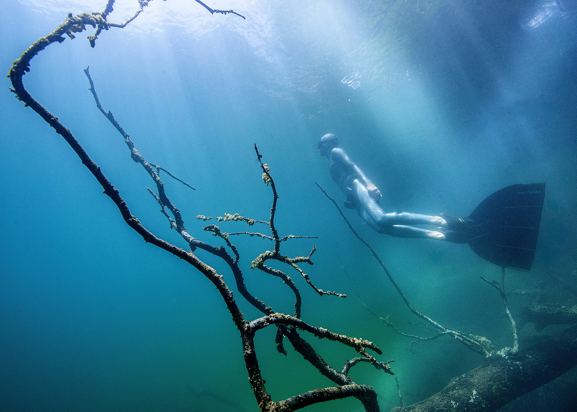 Дайвинг и фридайвинг. Профессиональная фотосъемка. Ростов-на-Дону