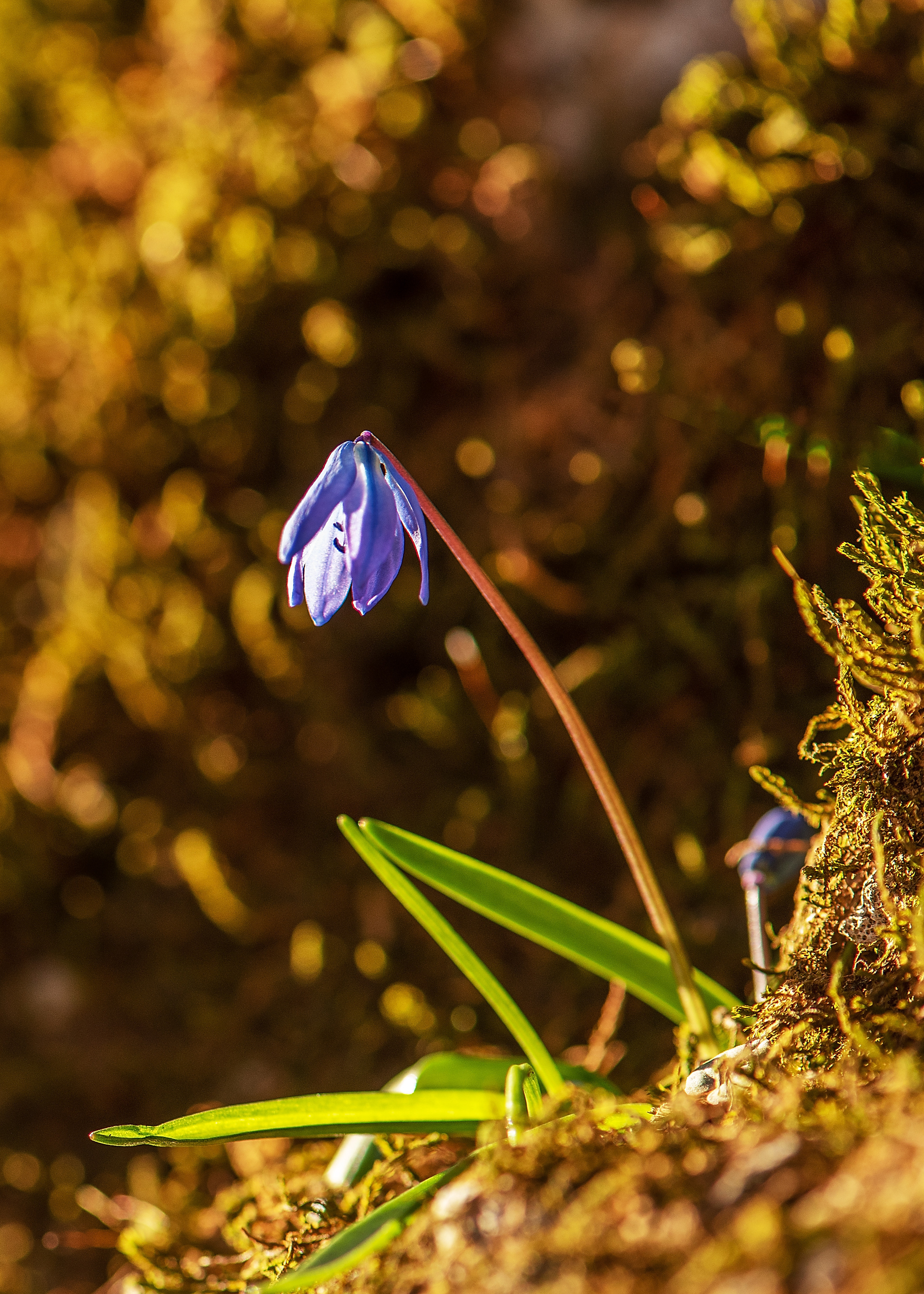 Пейзажи фотографа Андрея Кривошеина. Профессиональная фотосъемка. Ростов-на-Дону