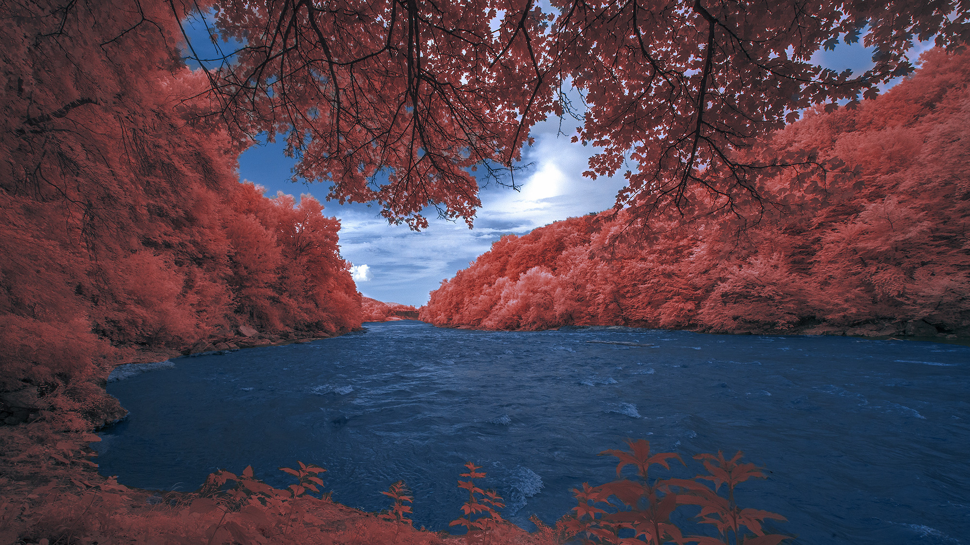 Пейзажи фотографа Андрея Кривошеина. Профессиональная фотосъемка. Ростов-на-Дону