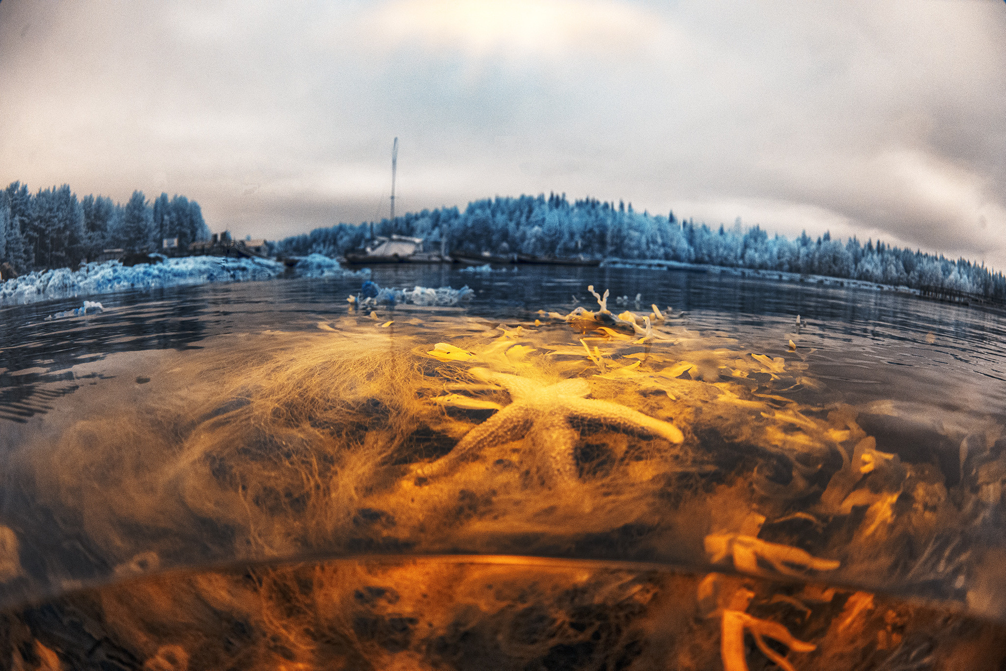 Пейзажи фотографа Андрея Кривошеина. Профессиональная фотосъемка. Ростов-на-Дону