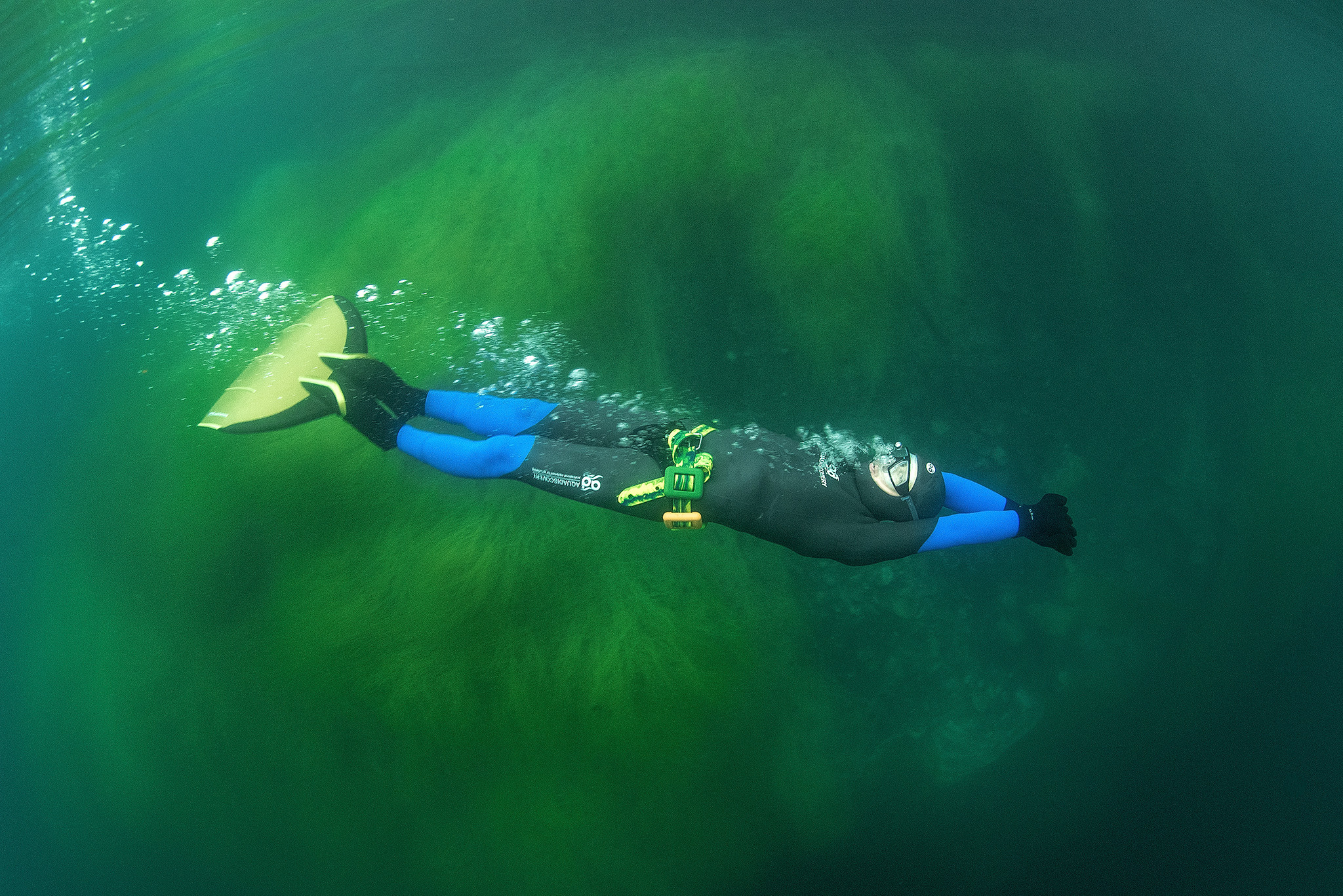 Дайвинг и фридайвинг. Профессиональная фотосъемка. Ростов-на-Дону