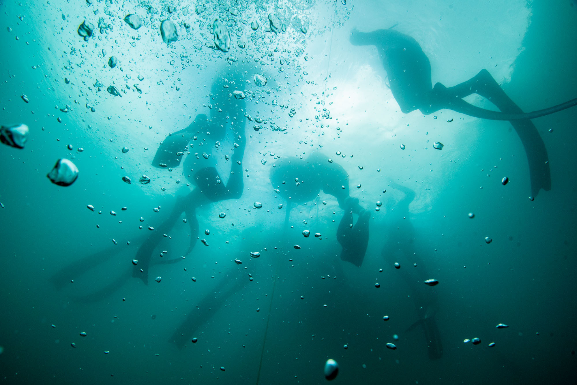 Дайвинг и фридайвинг. Профессиональная фотосъемка. Ростов-на-Дону