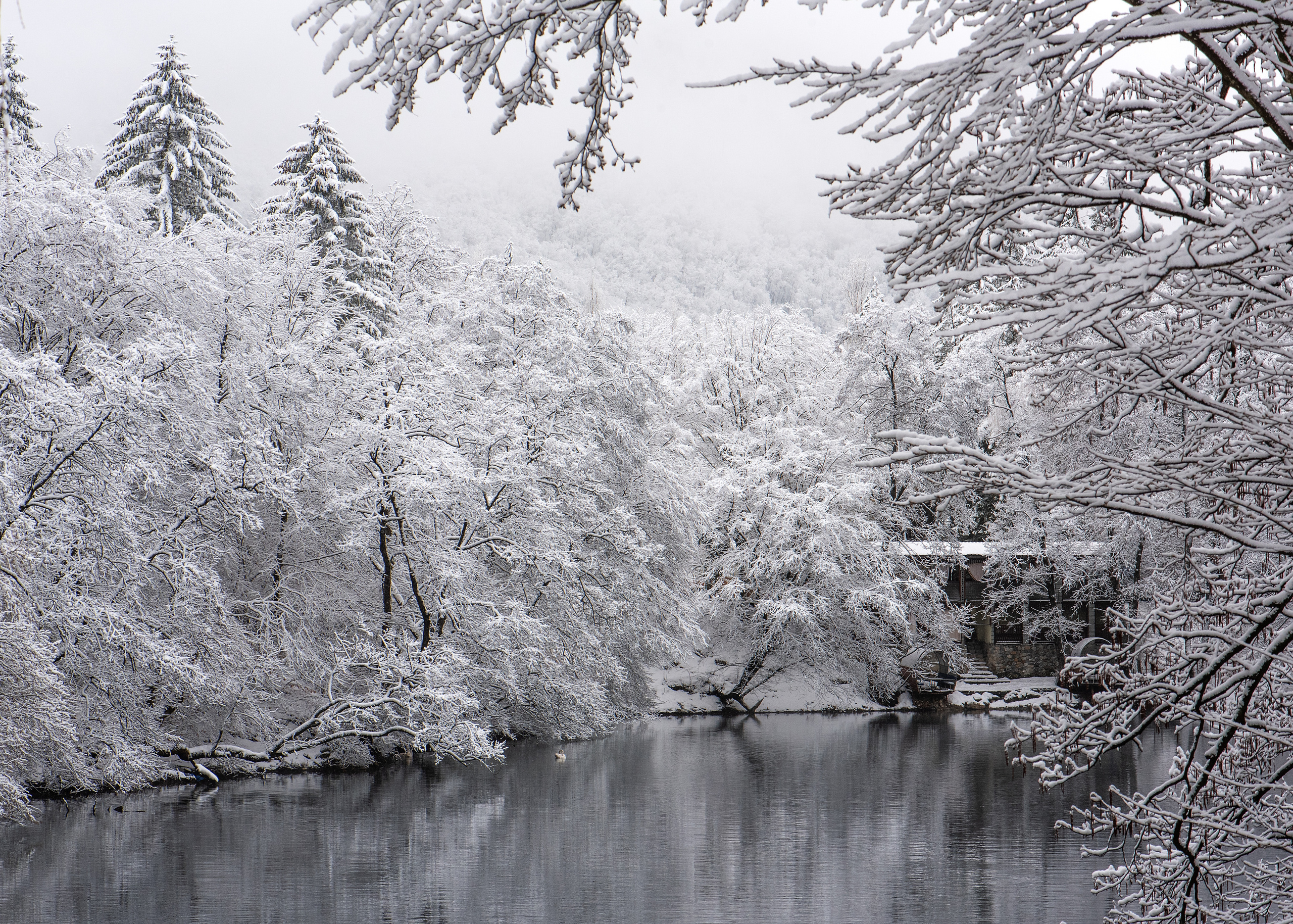 Пейзажи фотографа Андрея Кривошеина. Профессиональная фотосъемка. Ростов-на-Дону