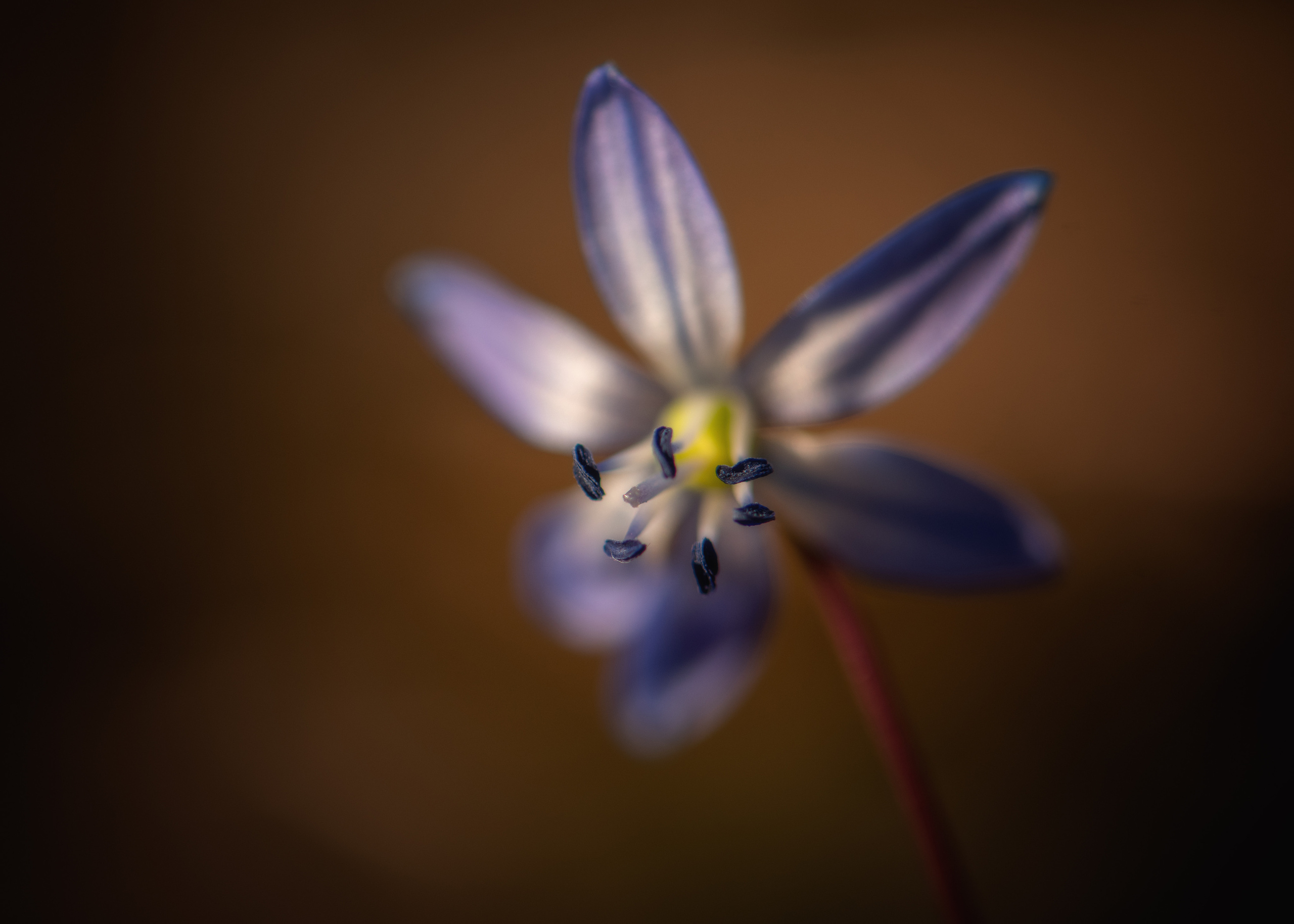 Пейзажи фотографа Андрея Кривошеина. Профессиональная фотосъемка. Ростов-на-Дону