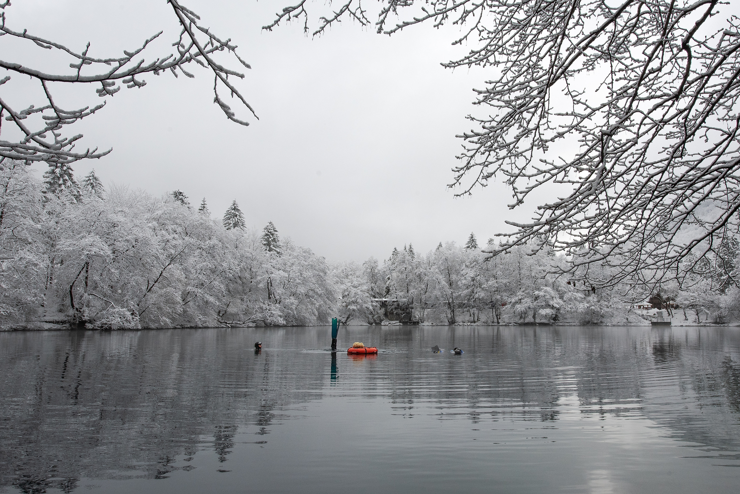 Дайвинг и фридайвинг. Профессиональная фотосъемка. Ростов-на-Дону
