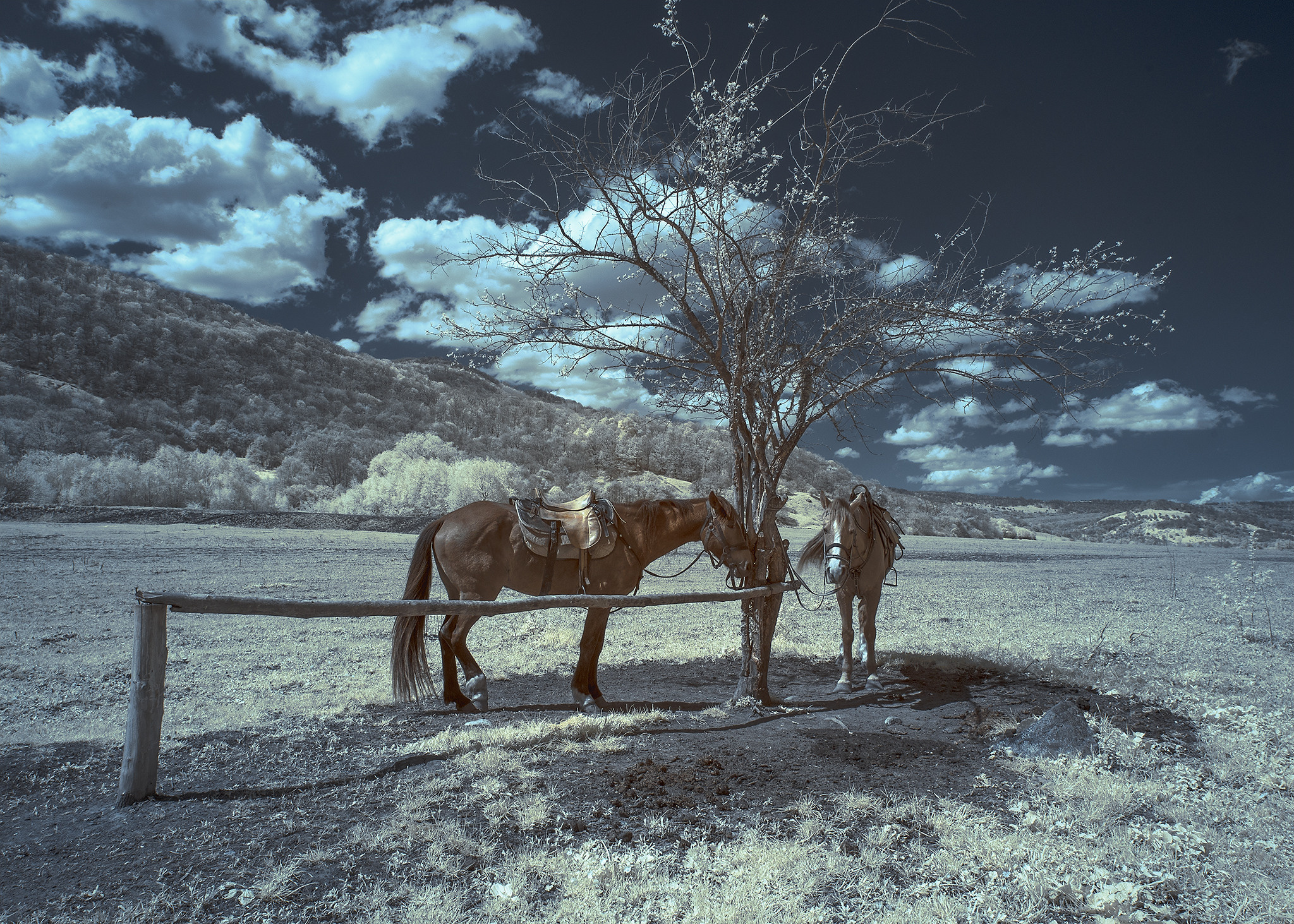 Пейзажи фотографа Андрея Кривошеина. Профессиональная фотосъемка. Ростов-на-Дону