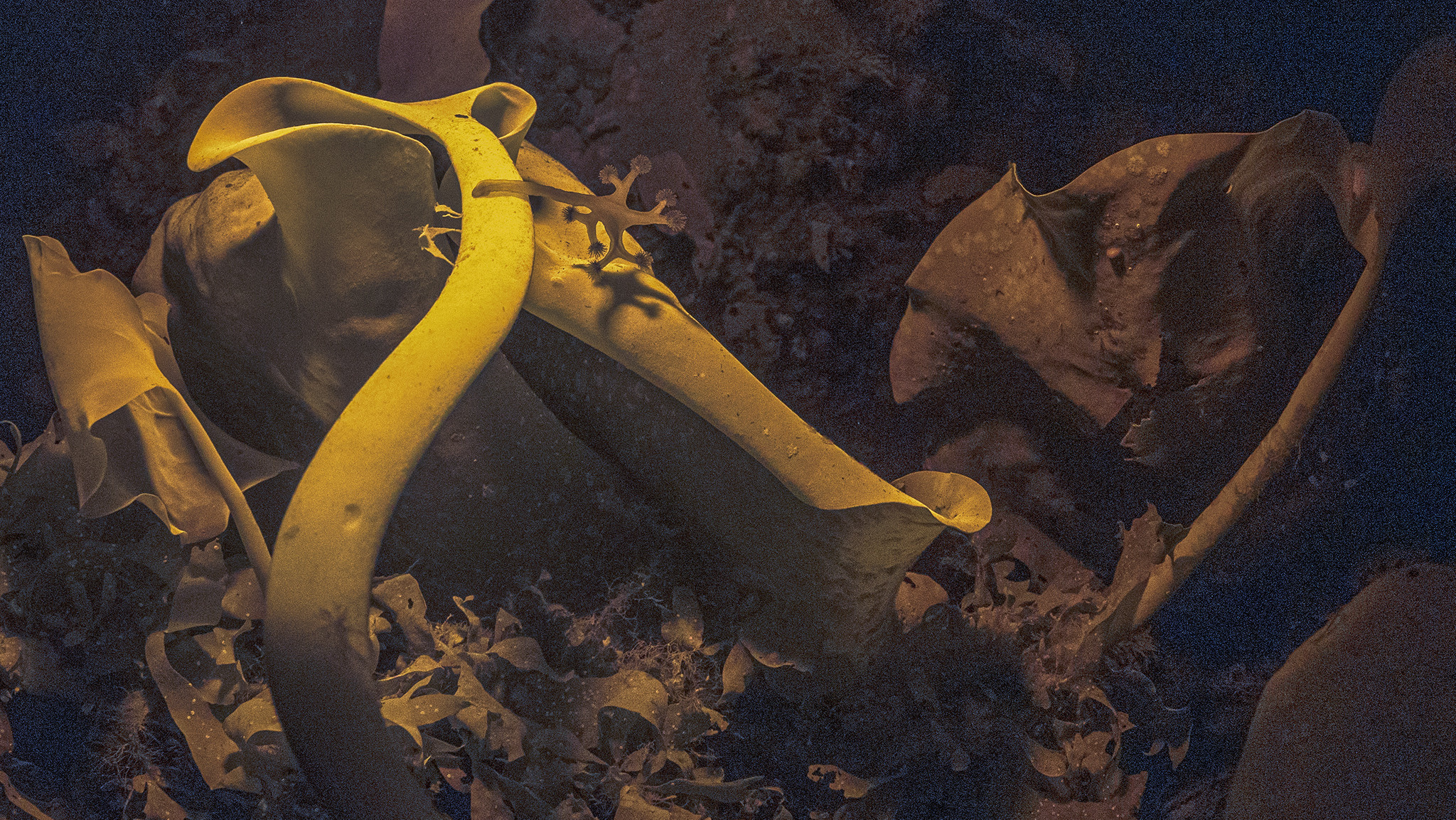 Пейзажи фотографа Андрея Кривошеина. Профессиональная фотосъемка. Ростов-на-Дону