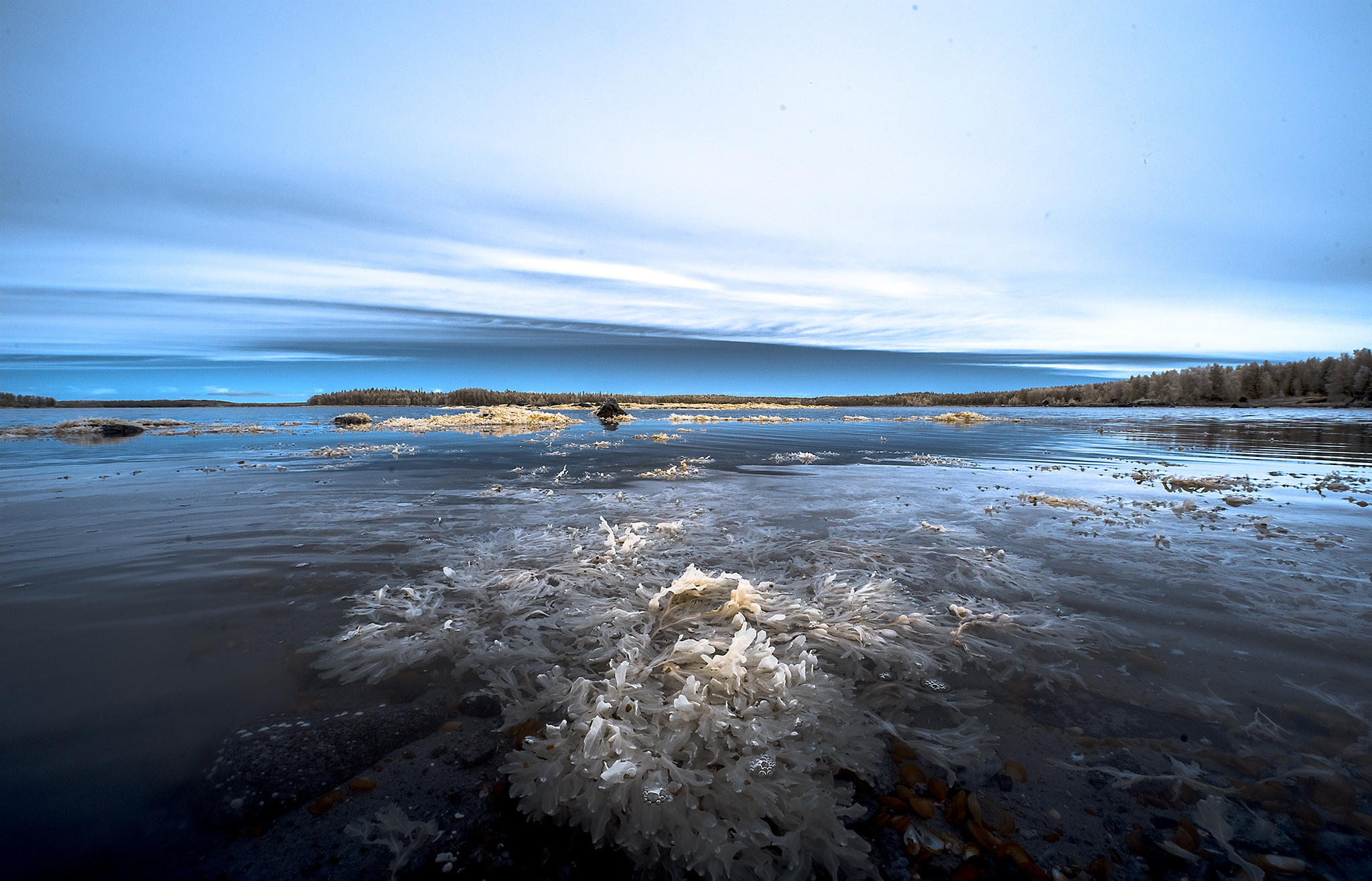 Пейзажи фотографа Андрея Кривошеина. Профессиональная фотосъемка. Ростов-на-Дону