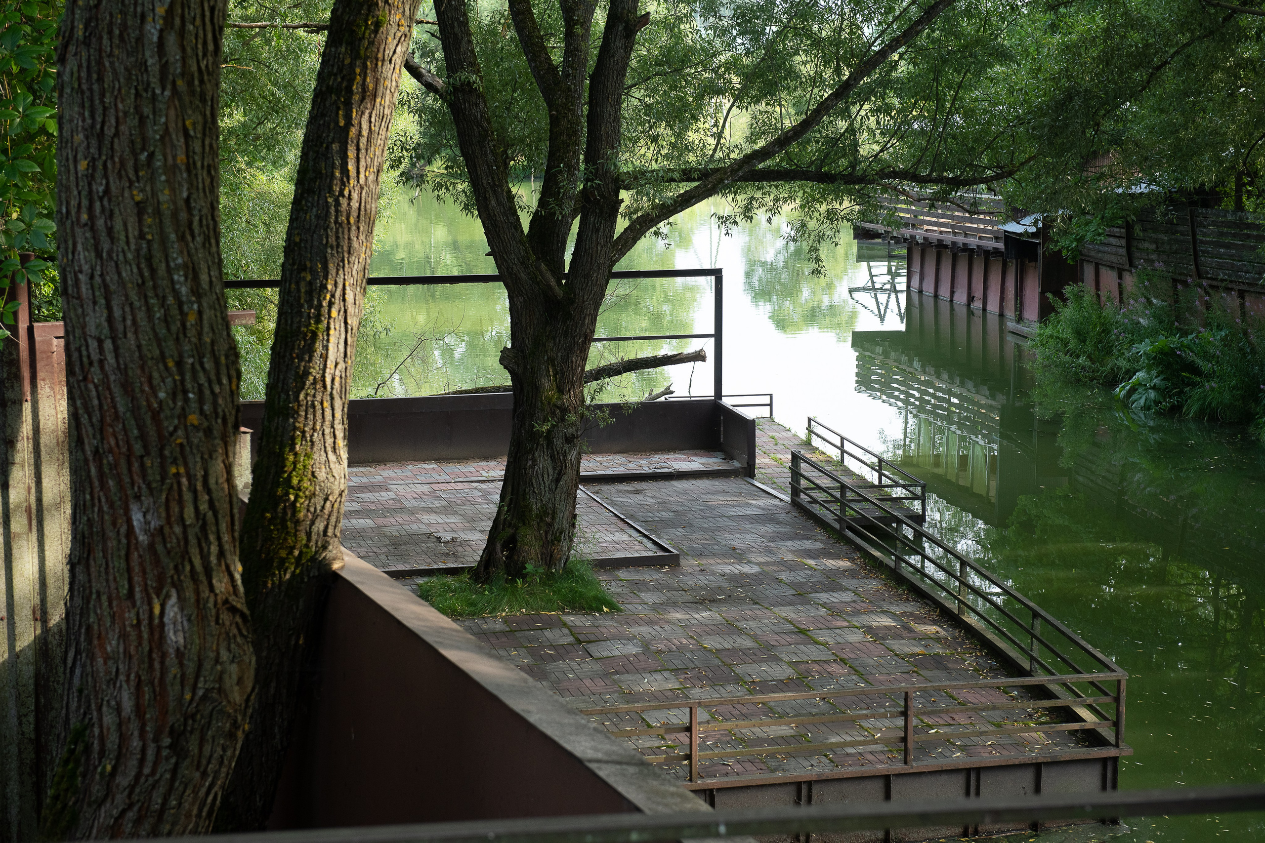 Олеся и Константин. Свадебные съёмки в Москве и МО Галина Борисова