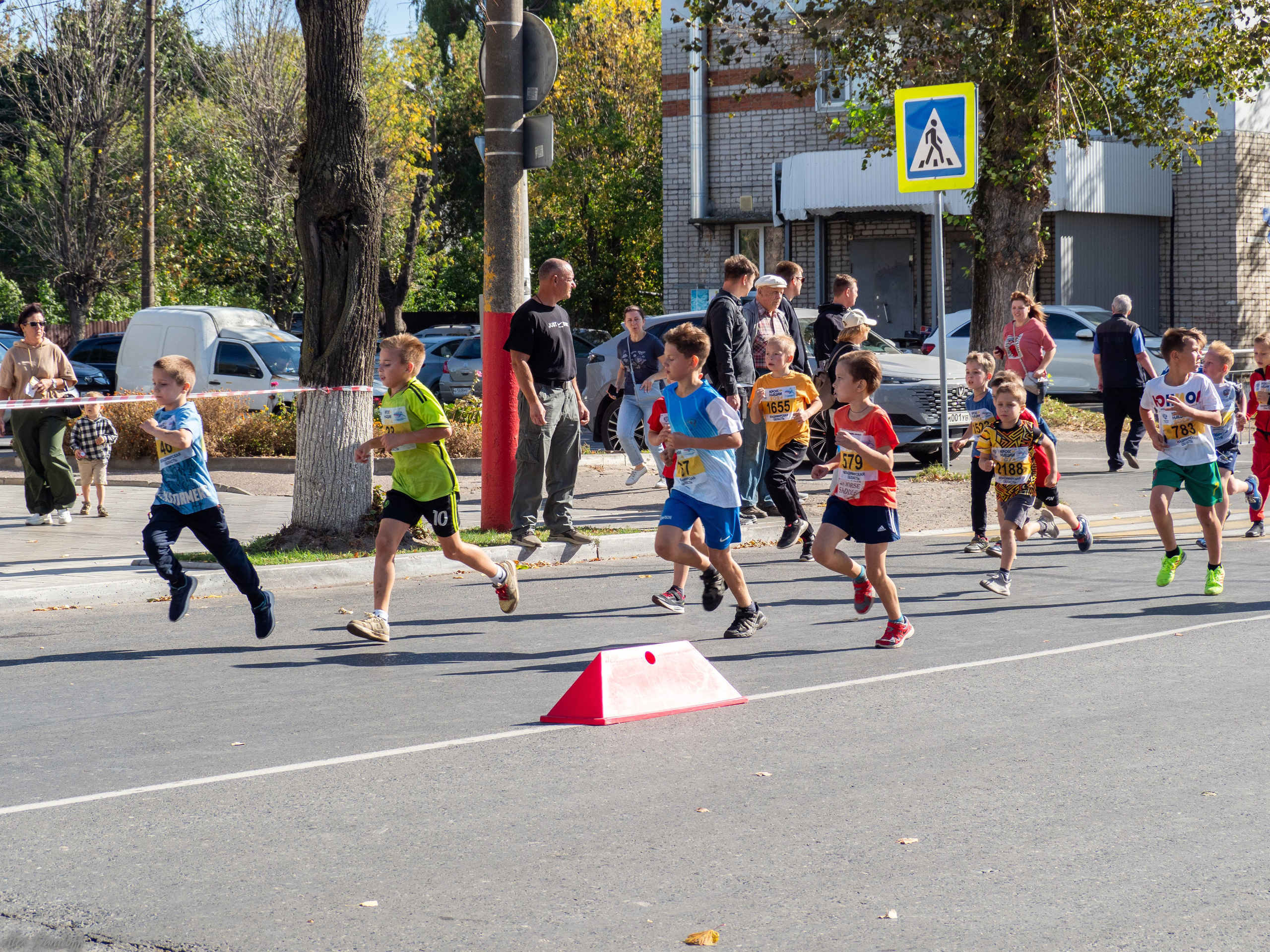 Кросс нации 2024. Муром-Инфо. Новости культуры, образования, спорта в городе Муром