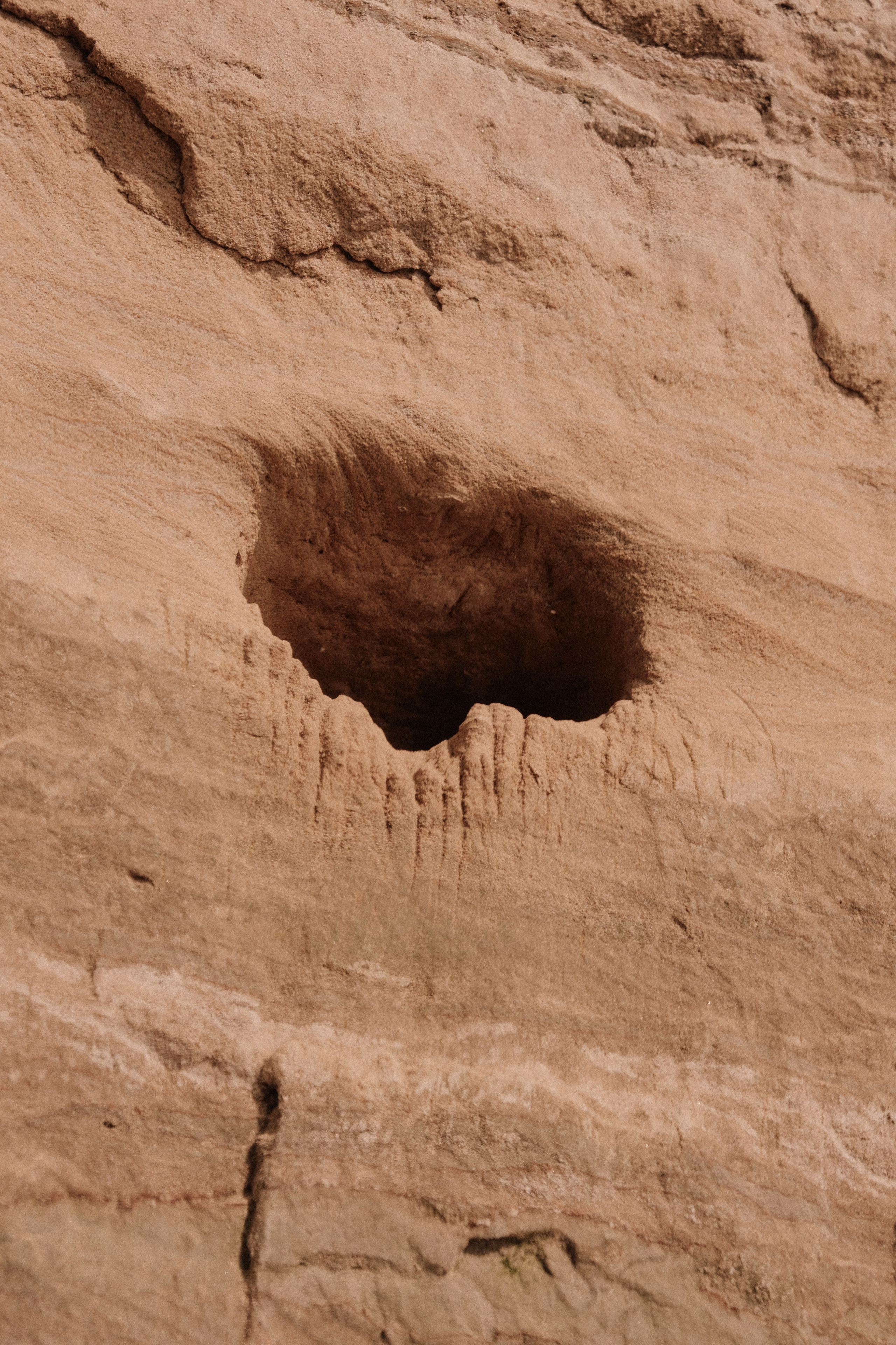 Lastochka. Фотограф Настя Лев