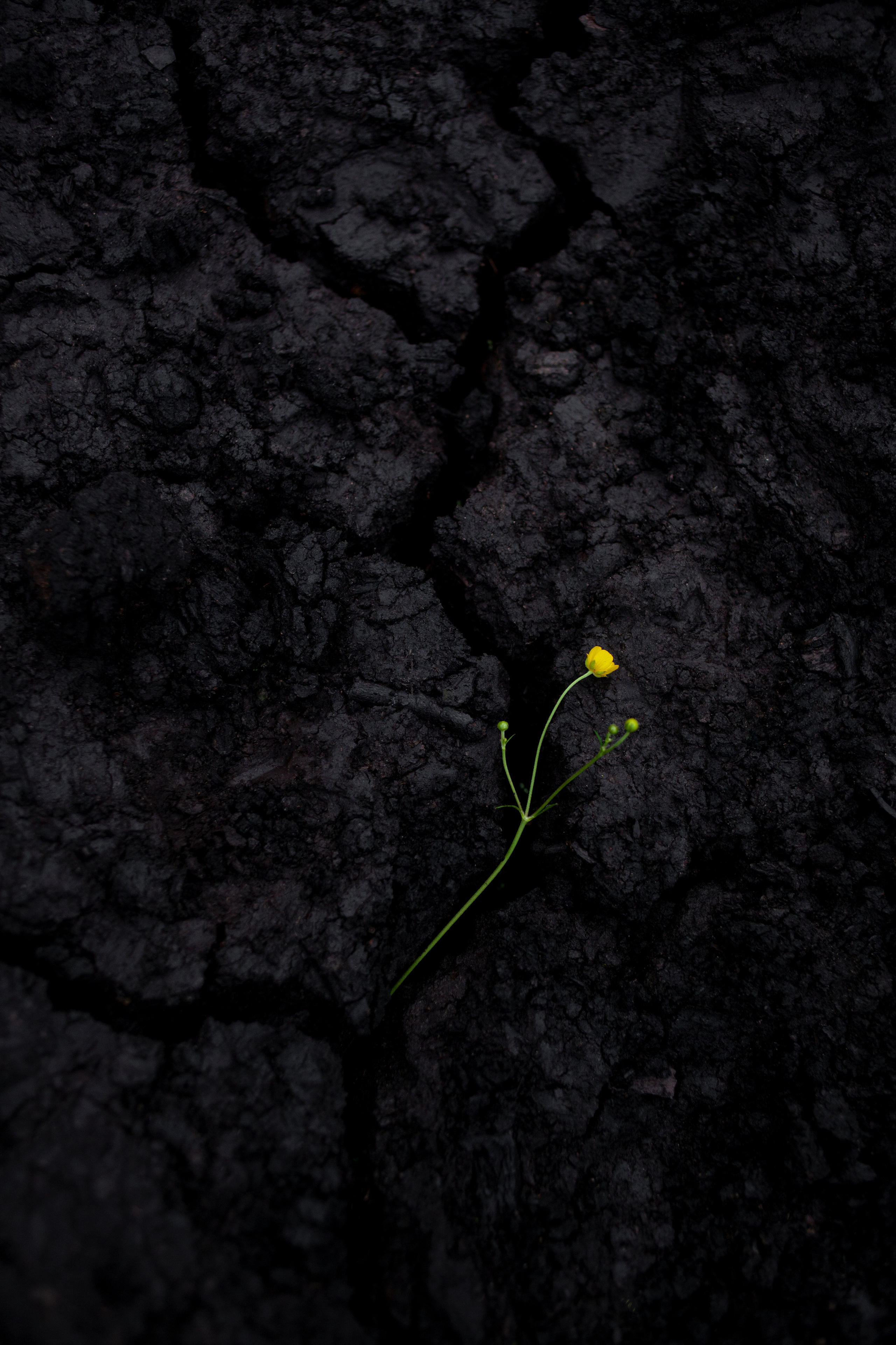 Jo. Photographer & retoucher