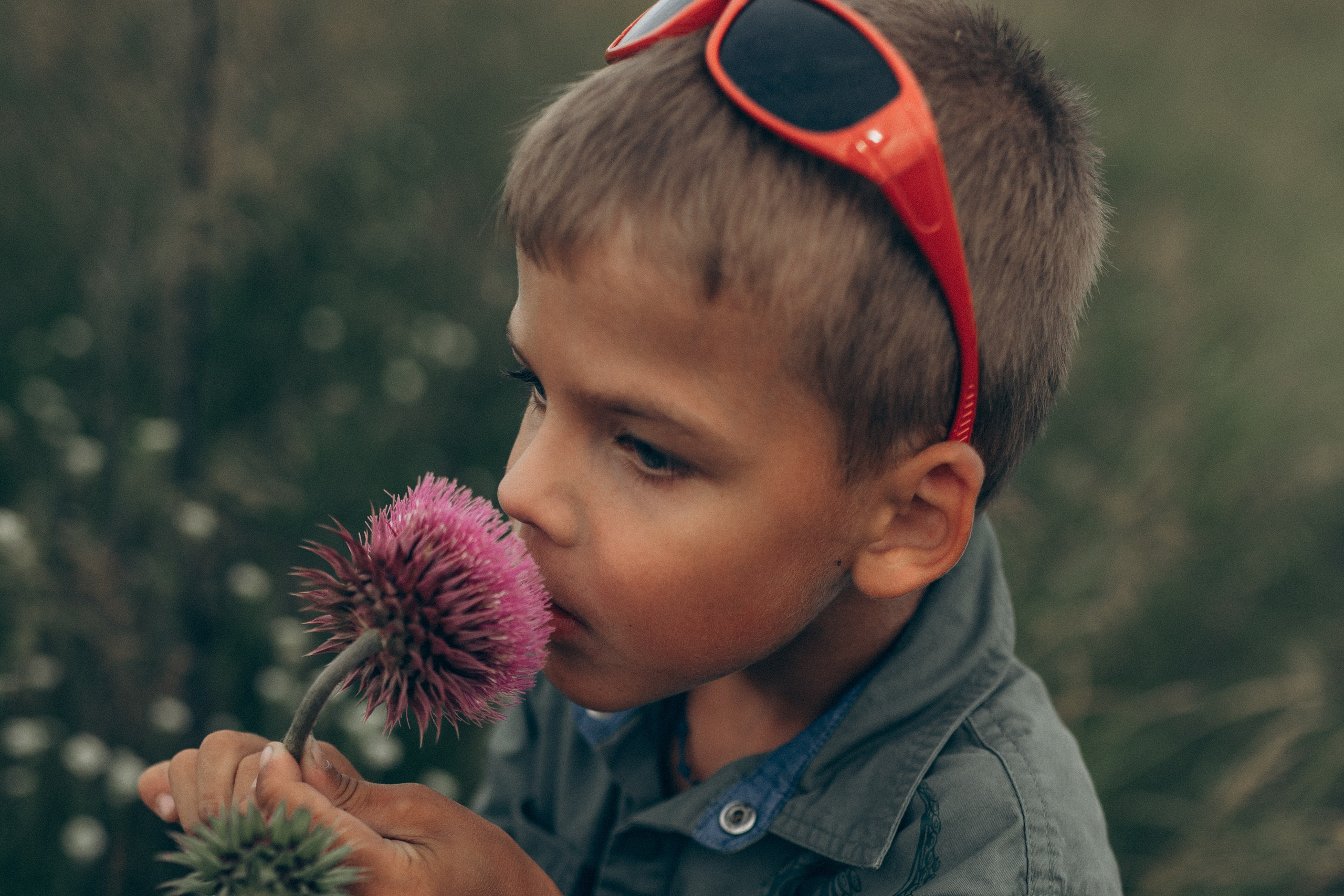 Летняя история. Семейный фотограф lifestyle в Новосибирске Елена Шпилевая