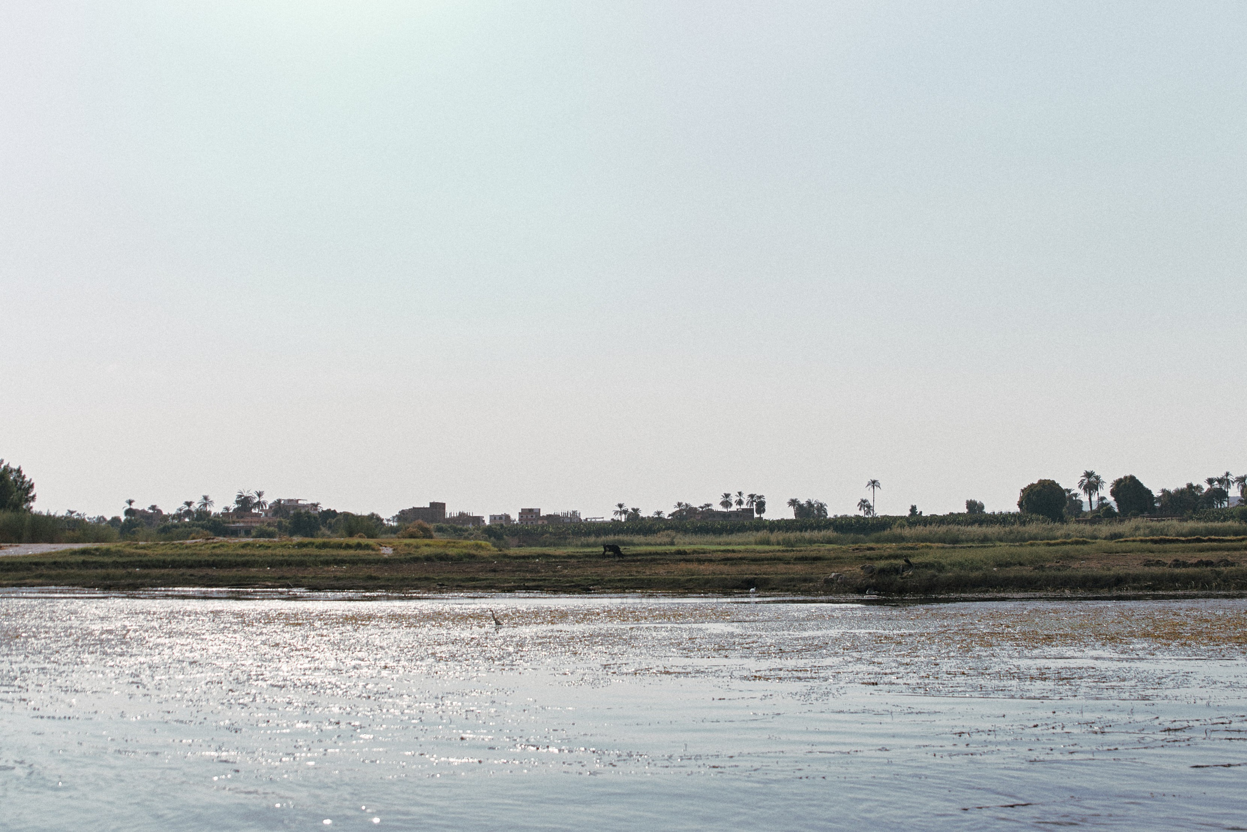 Улица горизонтальная. Jorgis — фотограф в Хургаде / обучение фотографии