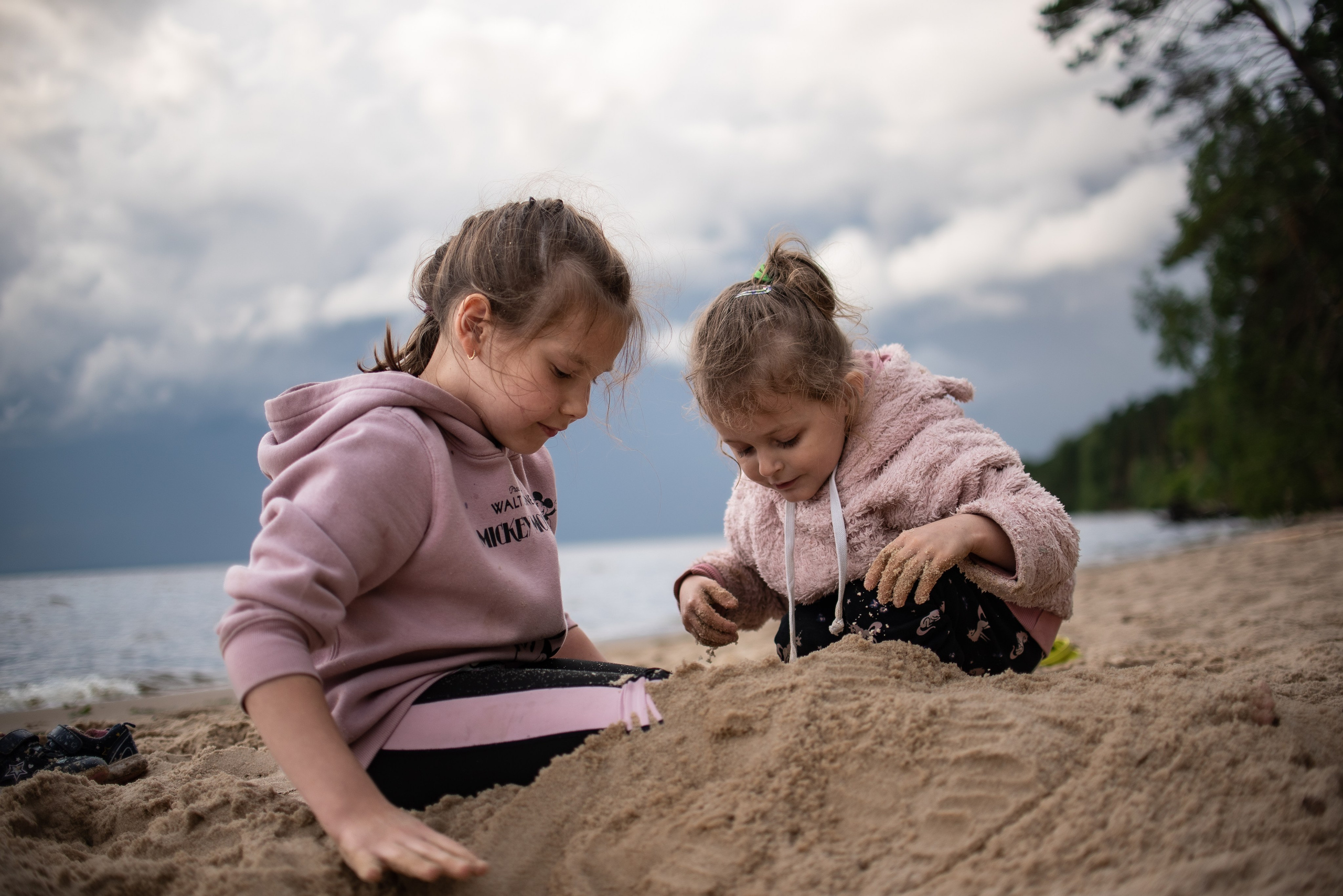 Всплеск эмоций 2023 Кинологический фестиваль. Фотограф Макс Огурцов в Нижнем Новгороде