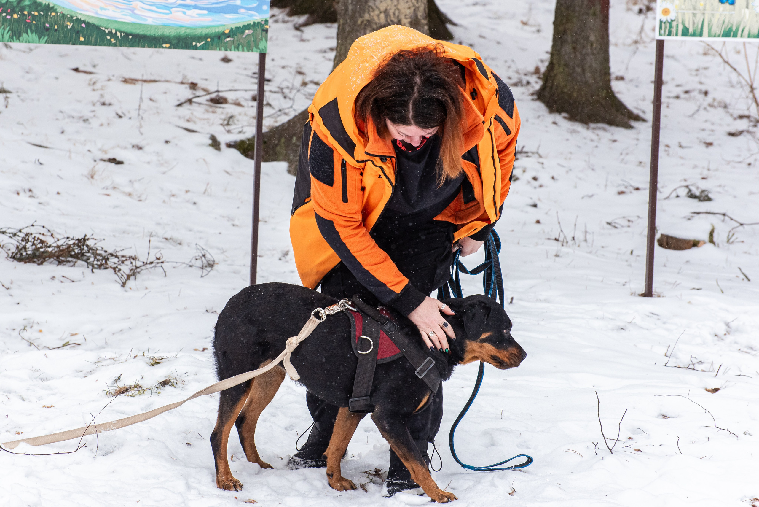 Фотосъёмка с собаками в Кинологическом лагере. Фотограф Макс Огурцов в Нижнем Новгороде
