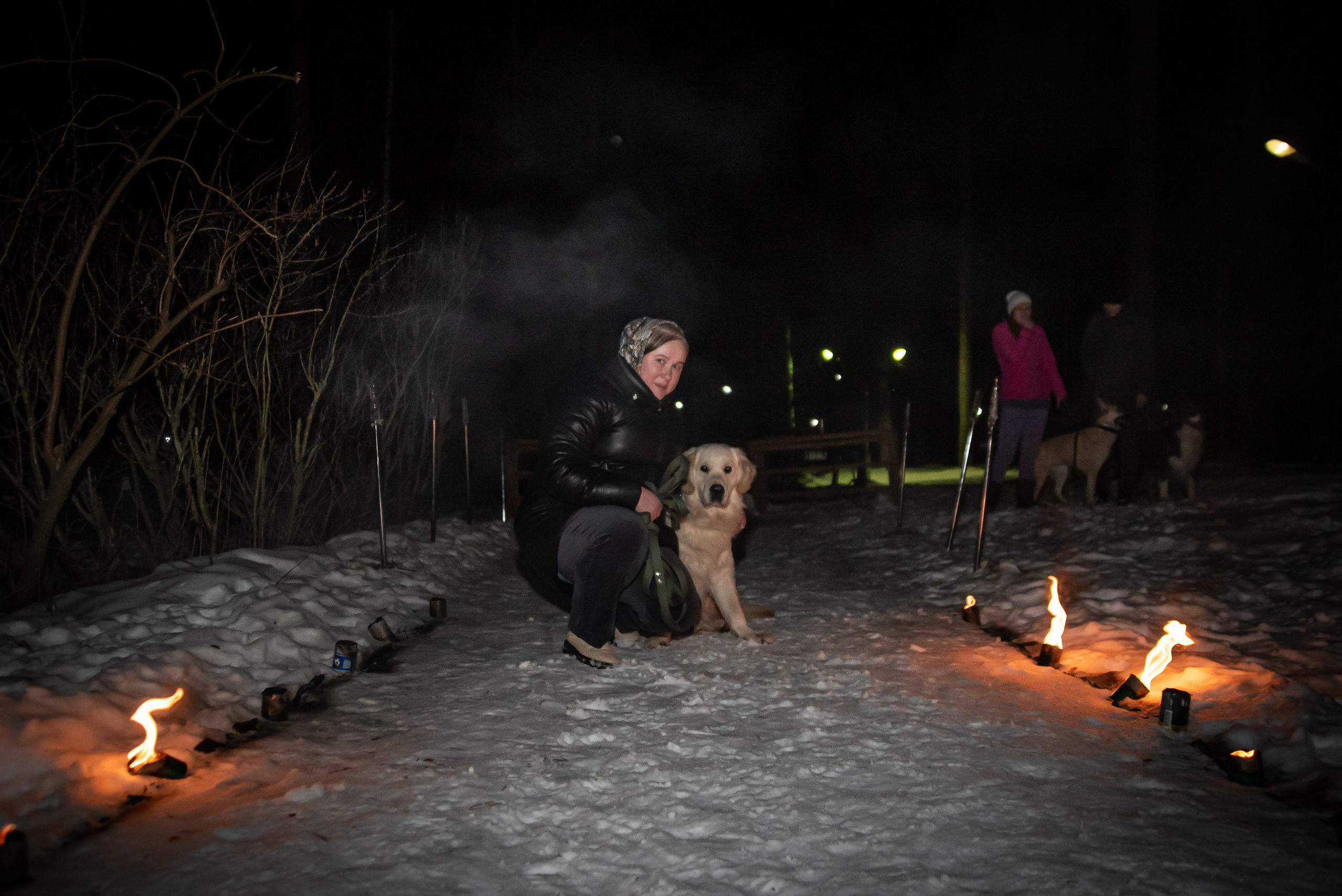 Фотосъёмка с собаками в Кинологическом лагере. Фотограф Макс Огурцов в Нижнем Новгороде