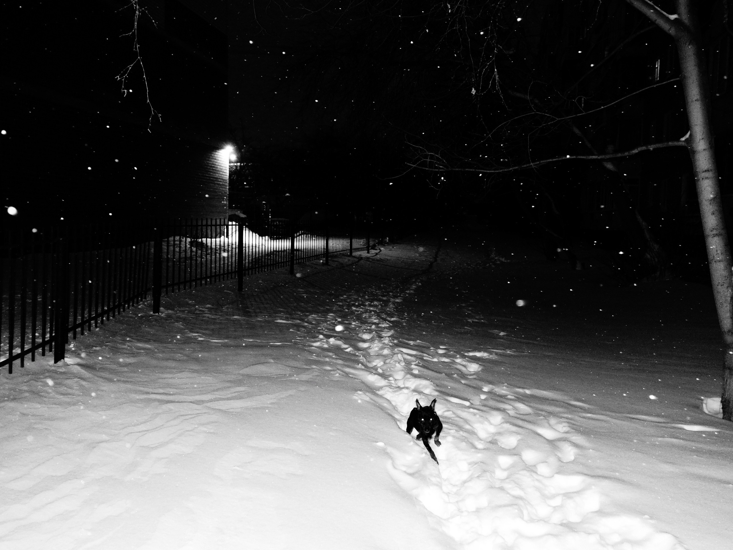 Уличная. Уральское создание