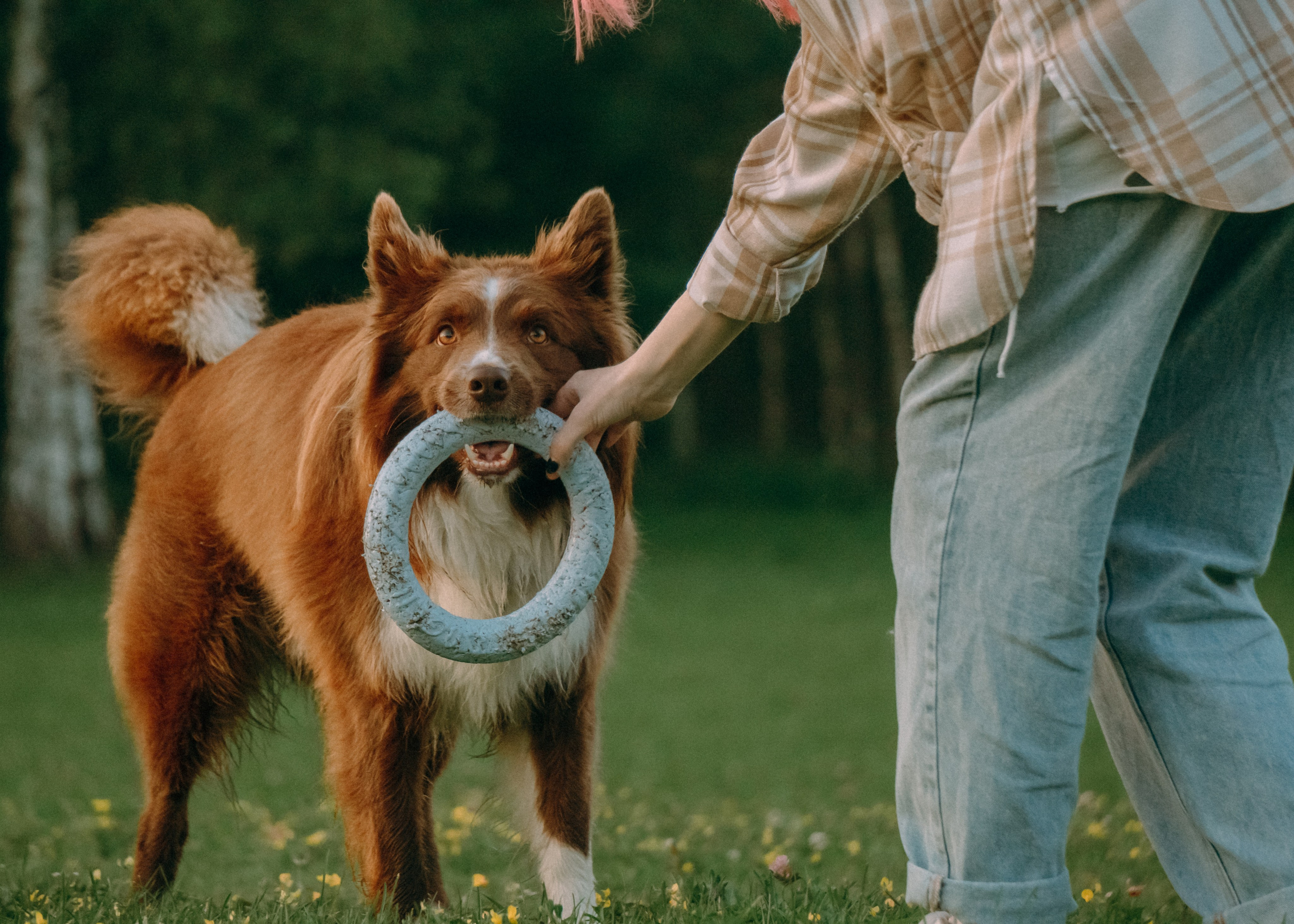 Виолетта, Лила и Питер. Фотограф-анималист Ксения Воробьева, Москва