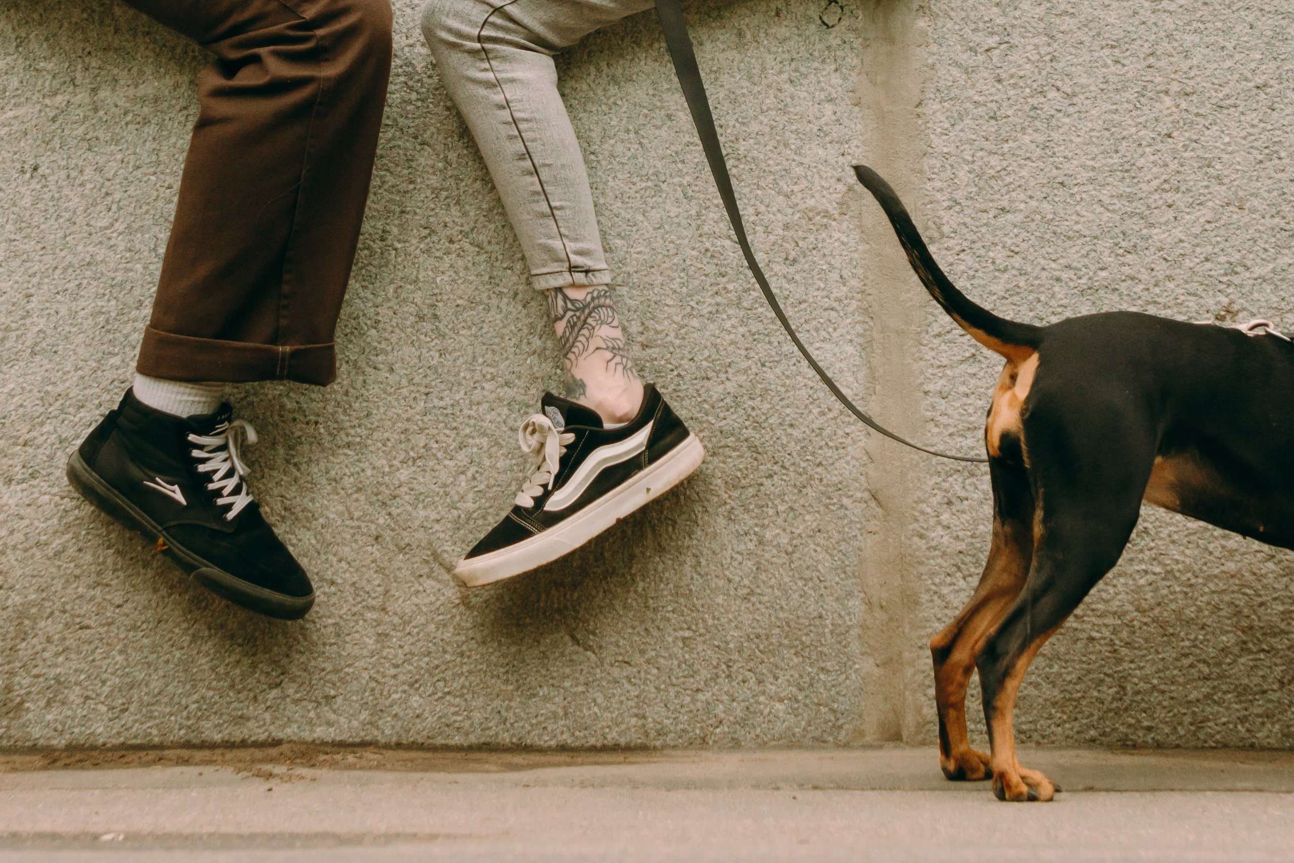 Кира, Максим и Аскара. Фотограф-анималист Ксения Воробьева, Москва