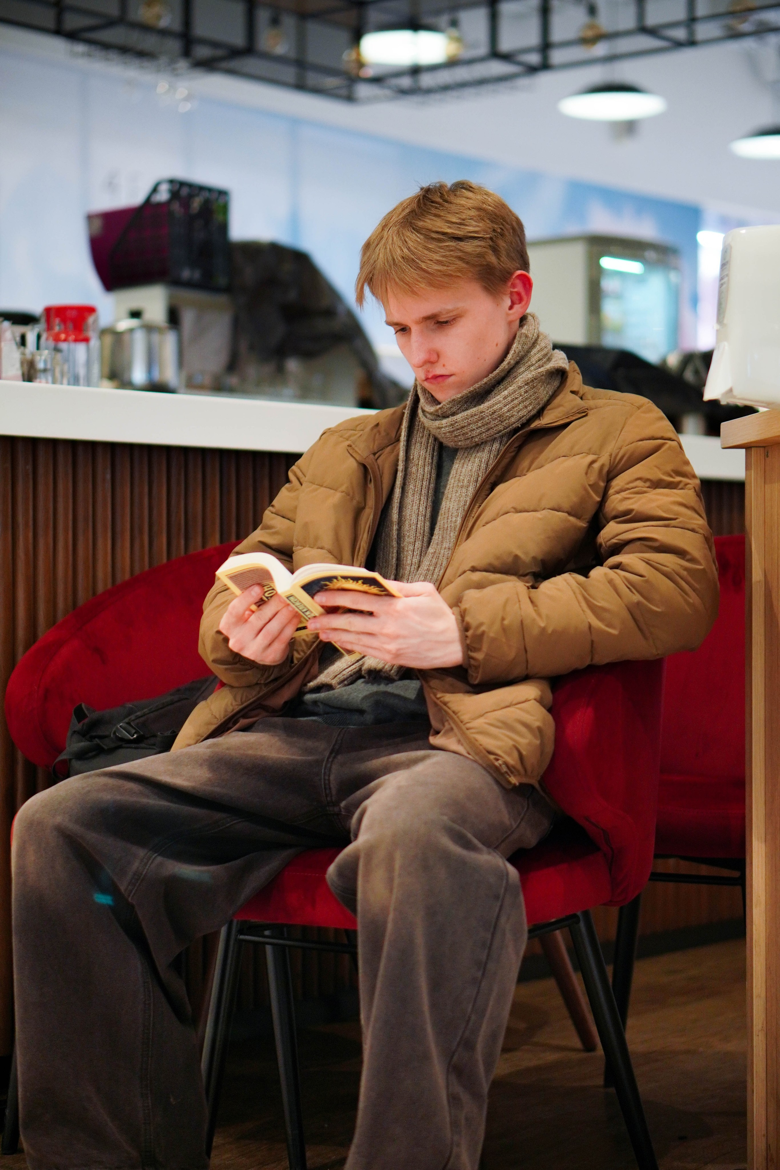 Лев. Видео и Фото