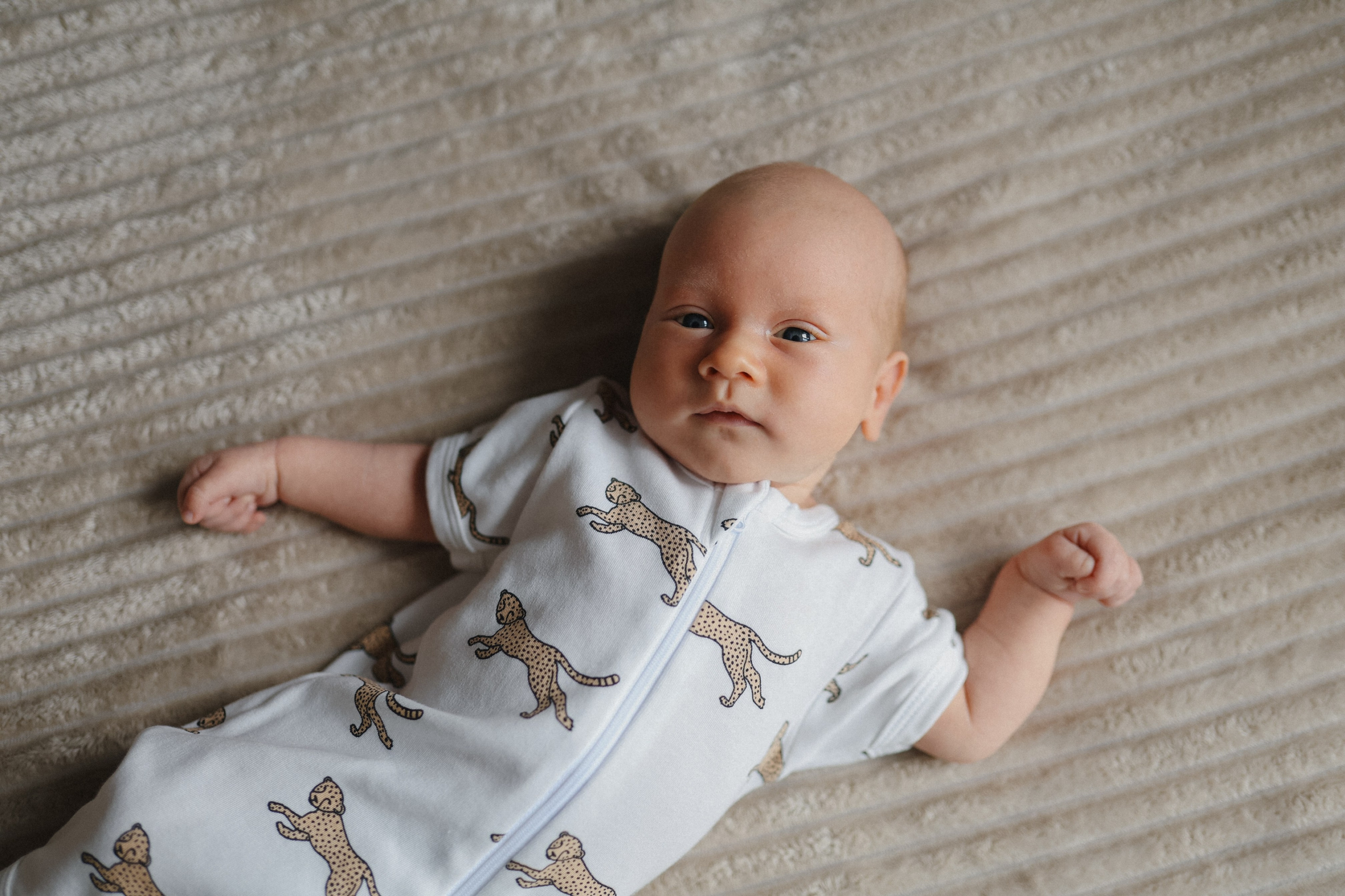 Лев🤎. Фотограф на роды в Санкт-Петербурге, семейный, нью-борн Алиса Хрекова