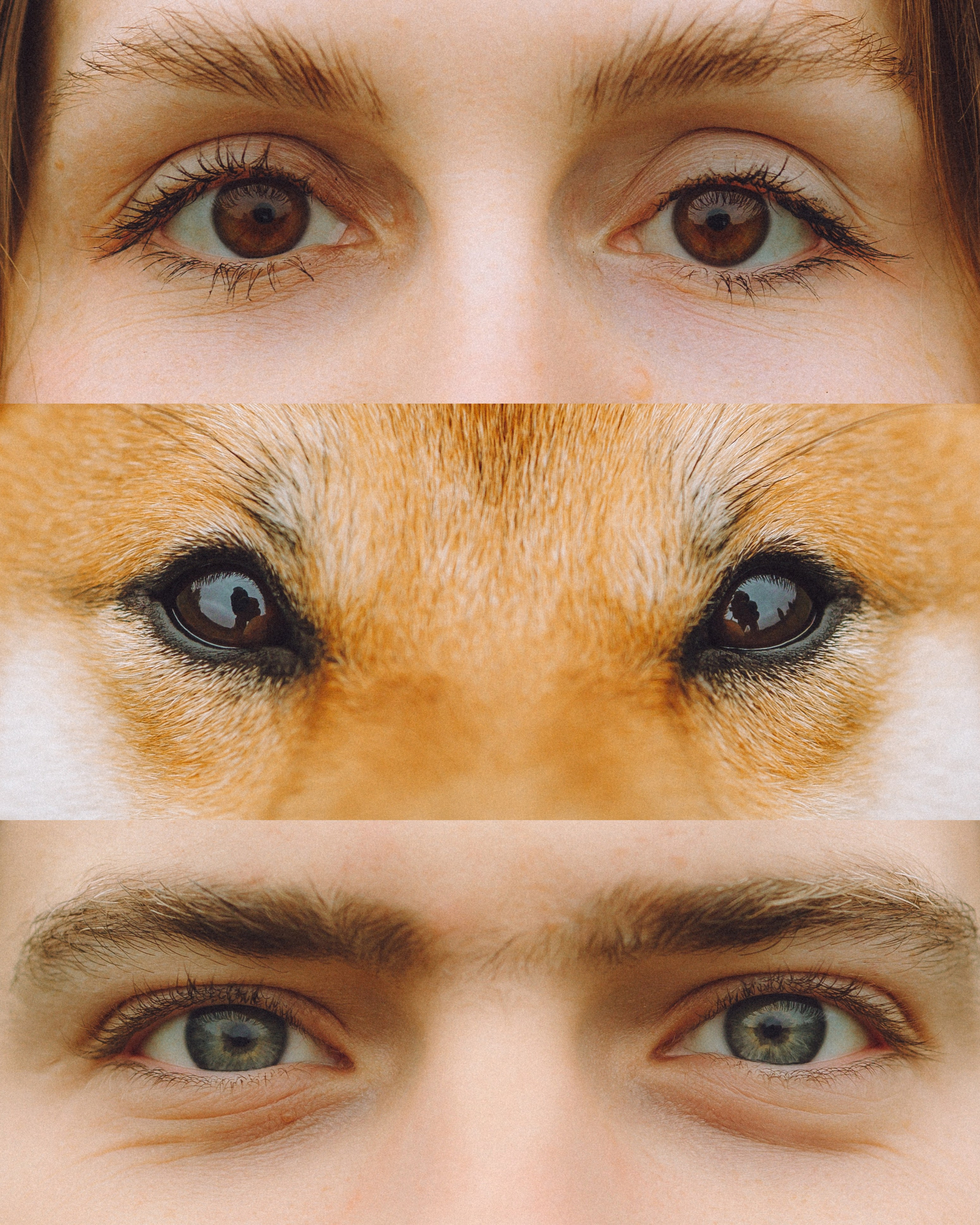 Настя, Юра и Скай