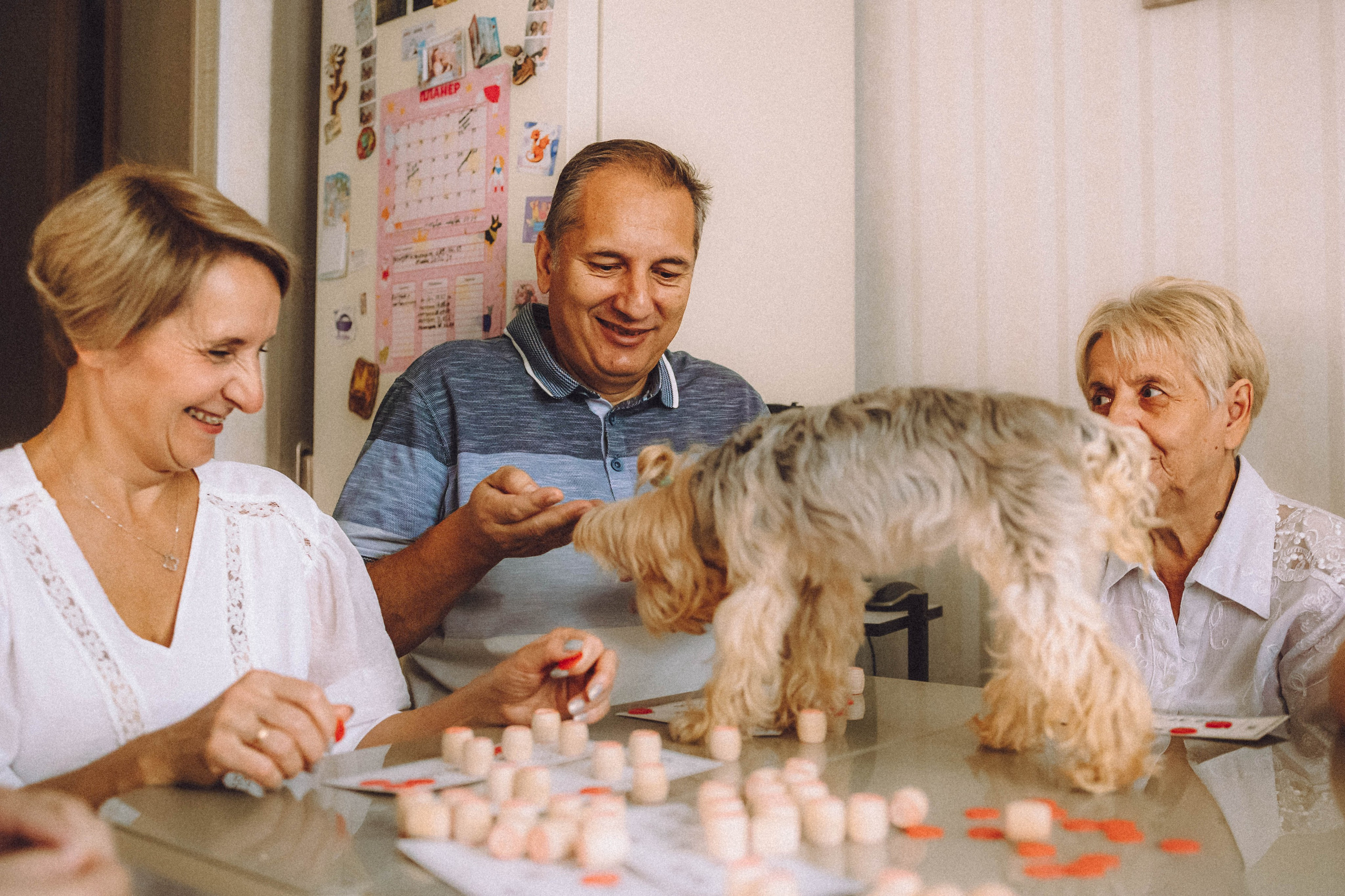 Дэзи и ее семья