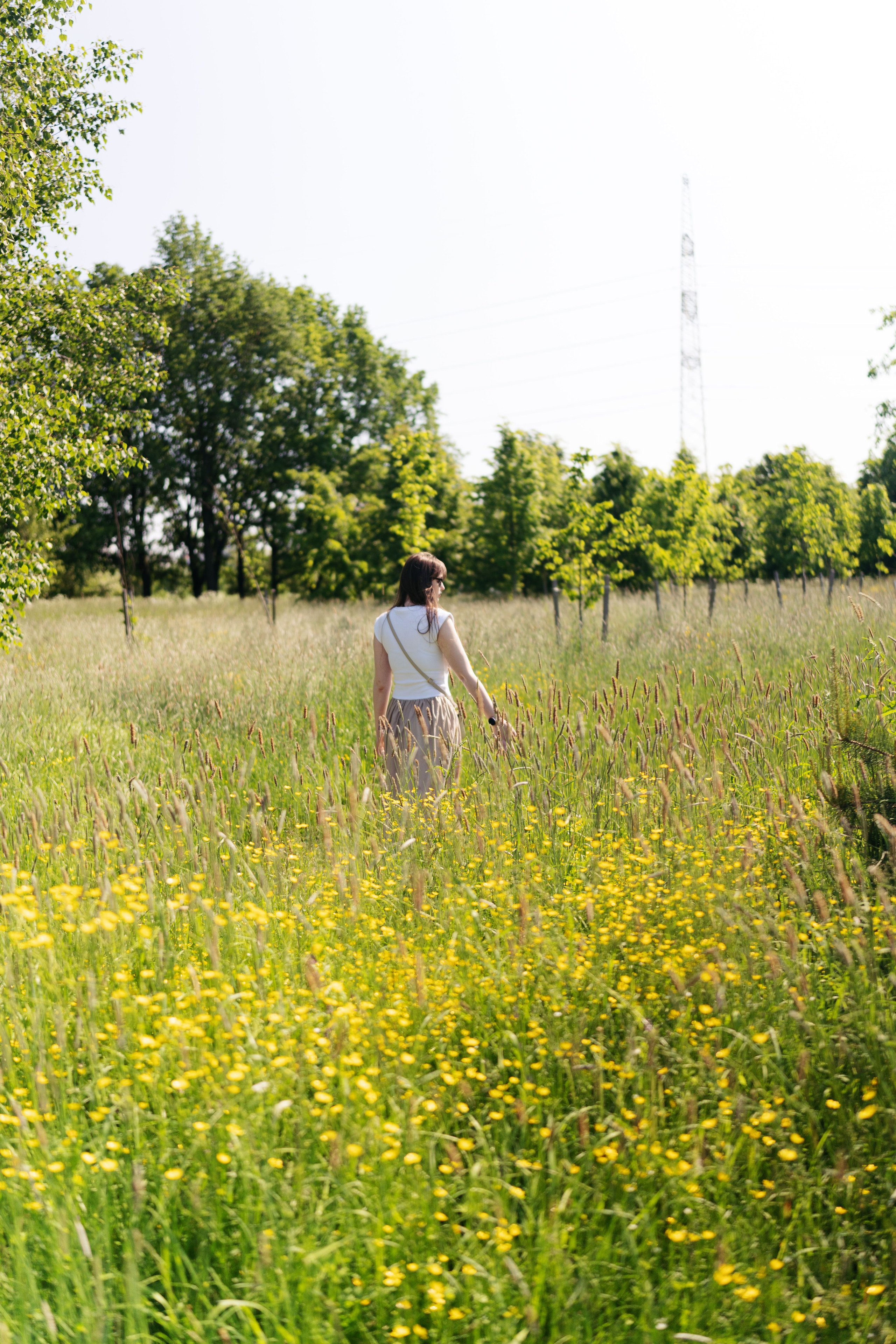 Парк. Баев Дмитрий — фотограф из СПБ