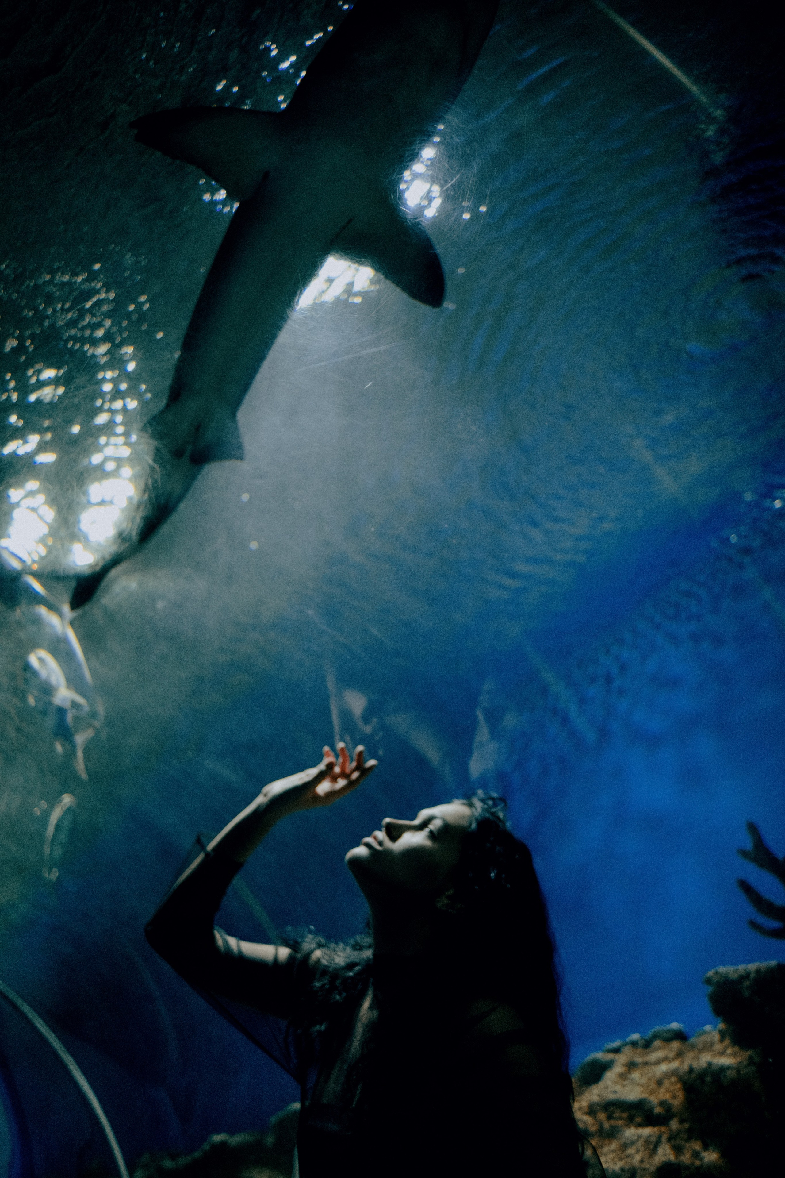 Julia. Фотограф в Санкт-Петербурге Бирюлев Илья