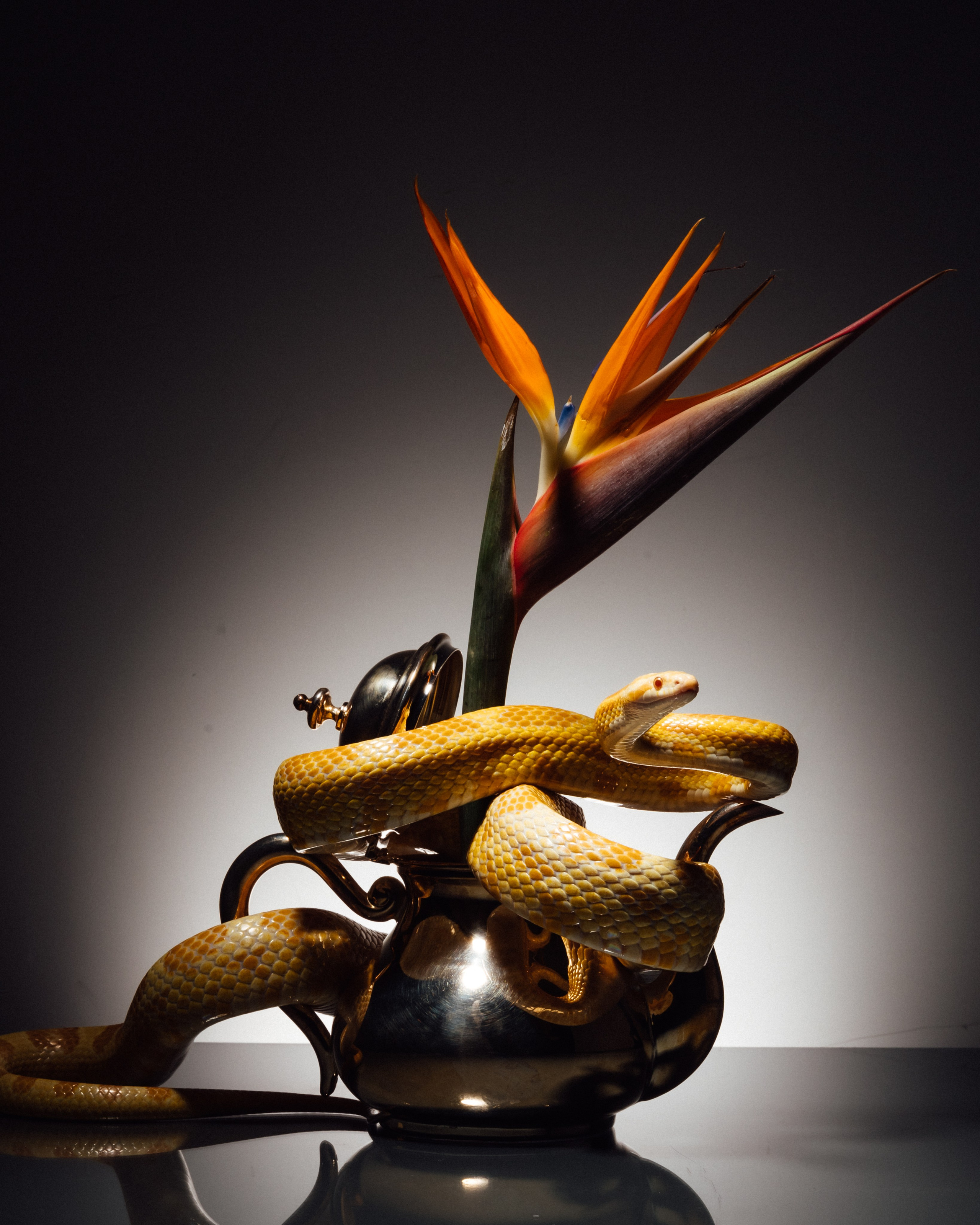 ORDO. Сет дизайнер предметный фотограф в Москве Анна Андреева