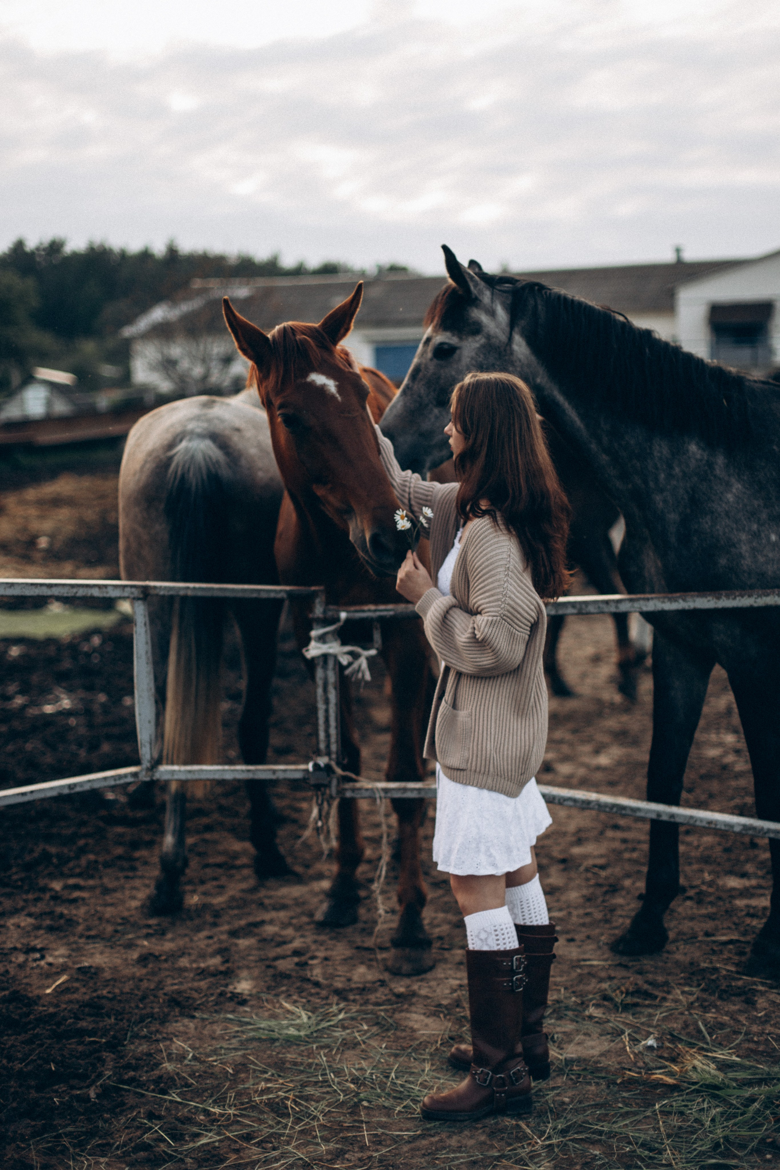 Что-то на закатном. Репортажный и детский фотограф в Минске
