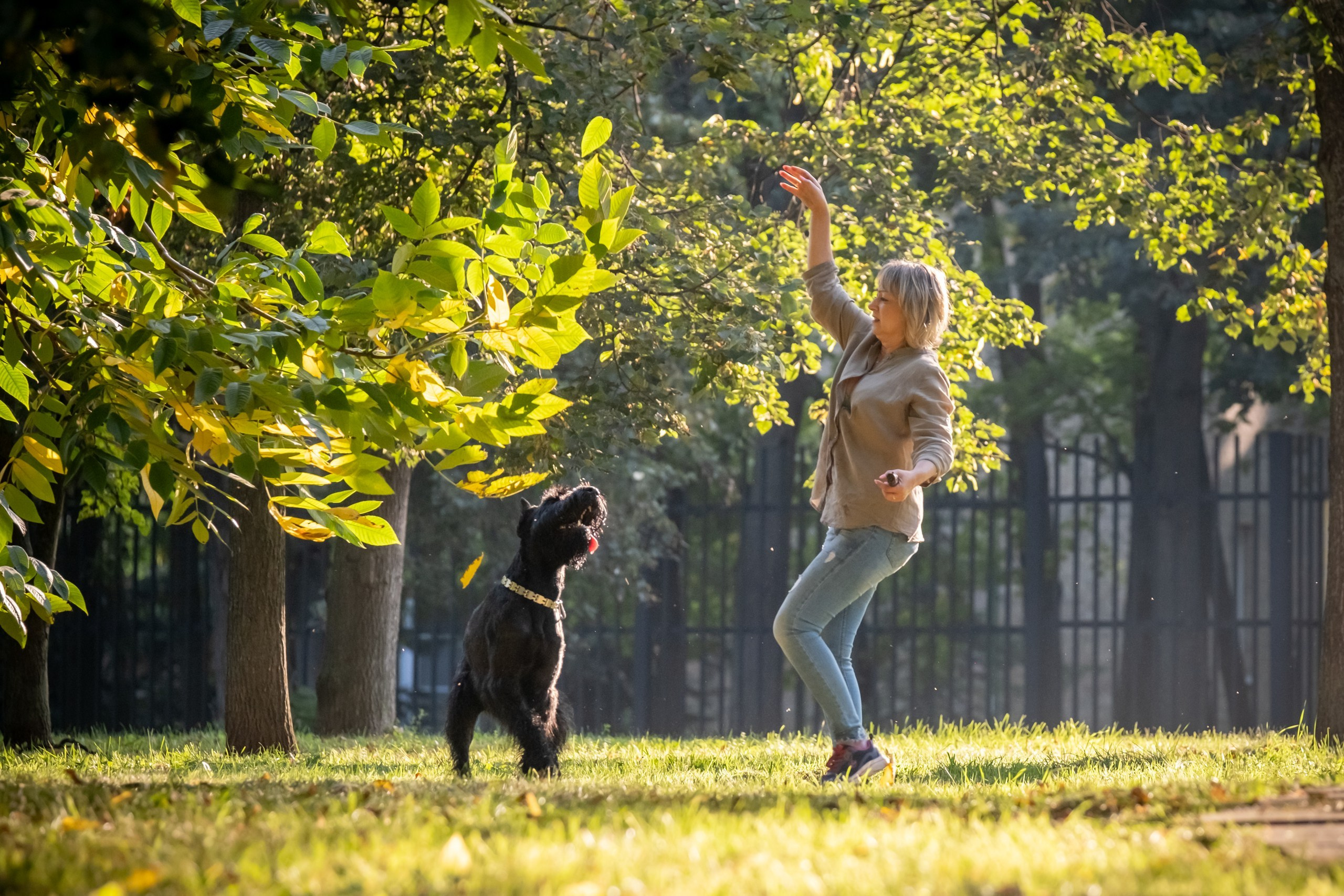 Прекрасная семья Ксении. Зоофотограф, фотограф животных в Москве и области Дина Дамоцева