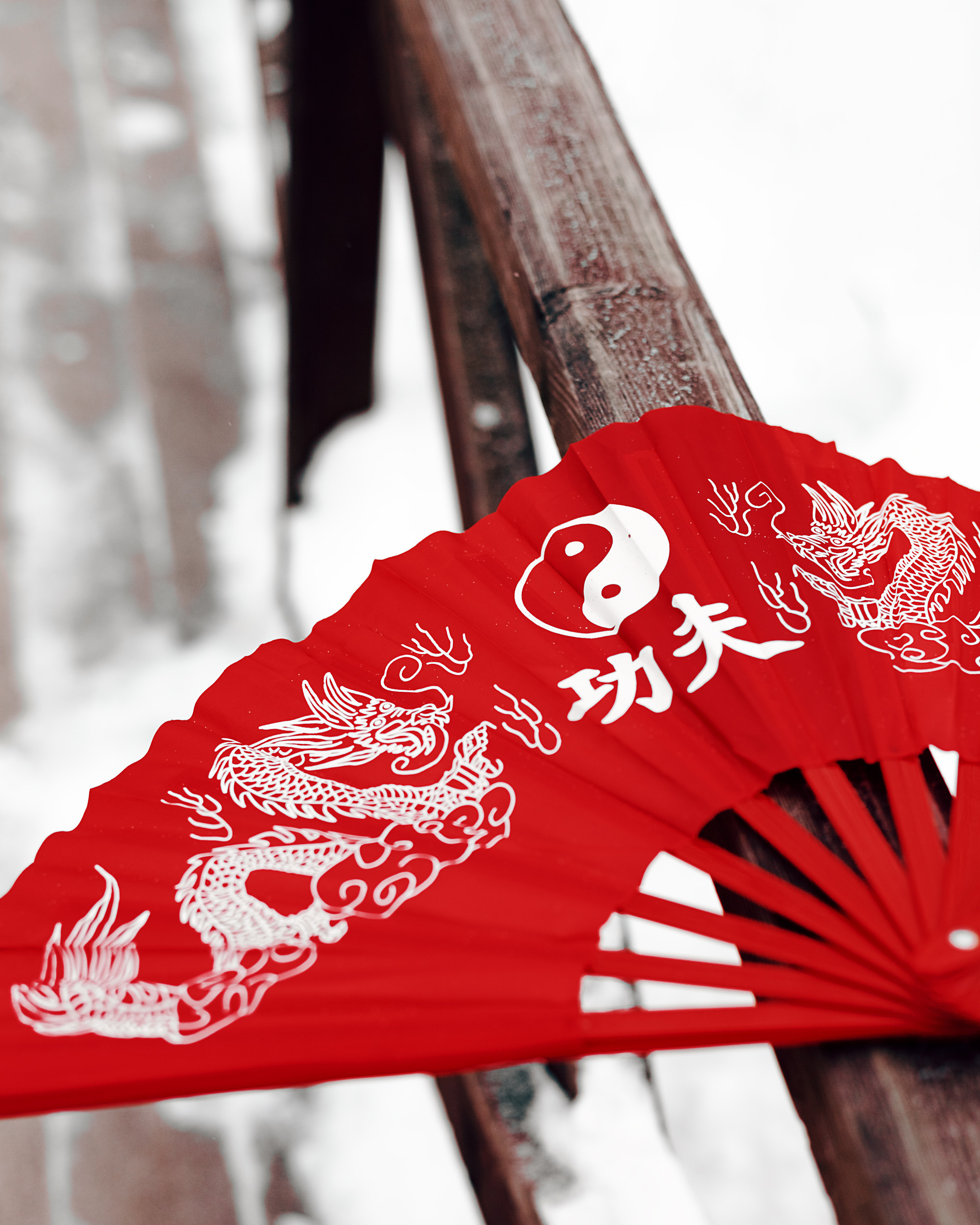 Один в поле воин. Анастасия Турсунова арт-фотограф в Москве