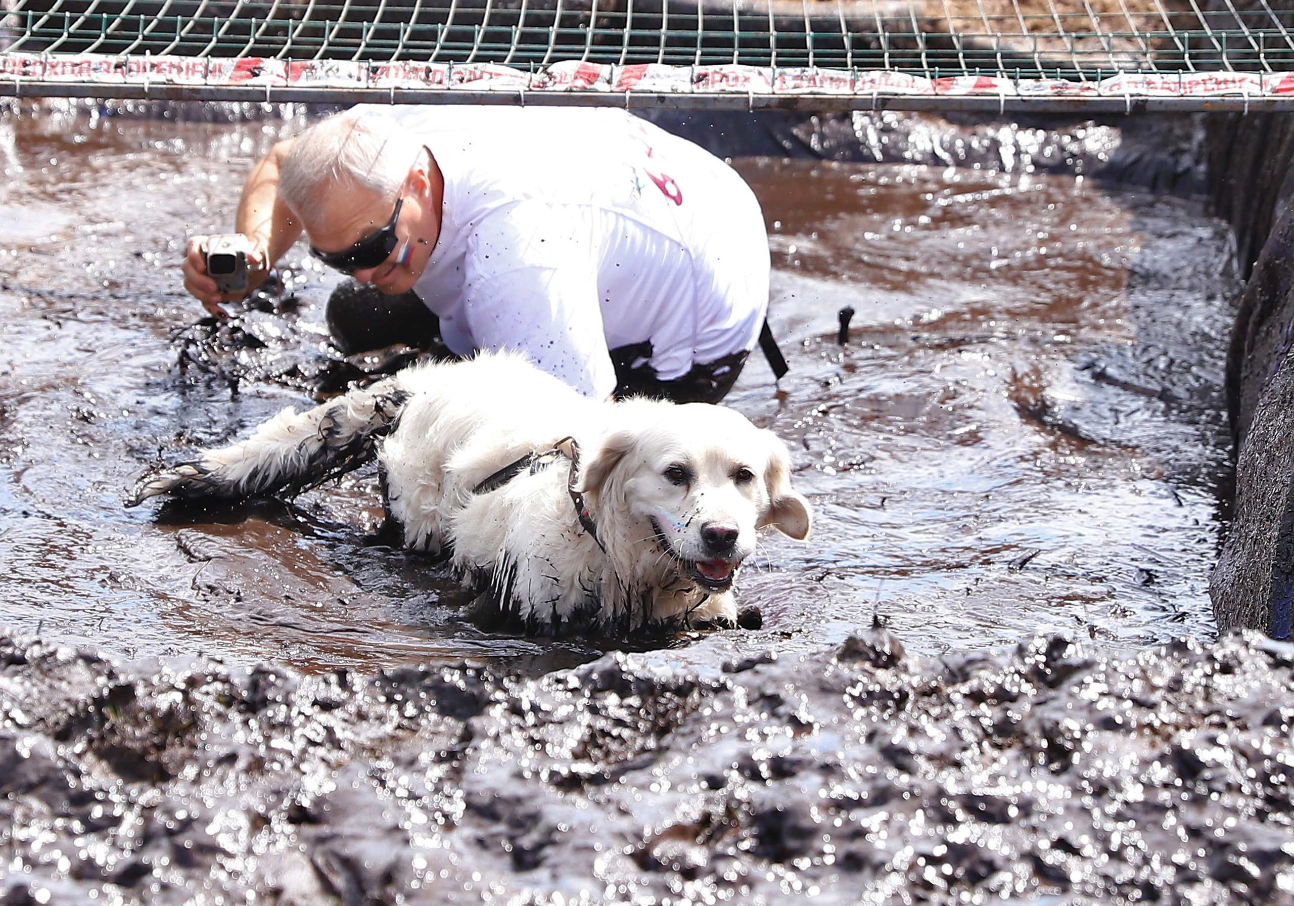 Хвостатый драйв. Семейный и детский фотограф в Москве и МО Елена Москвичева