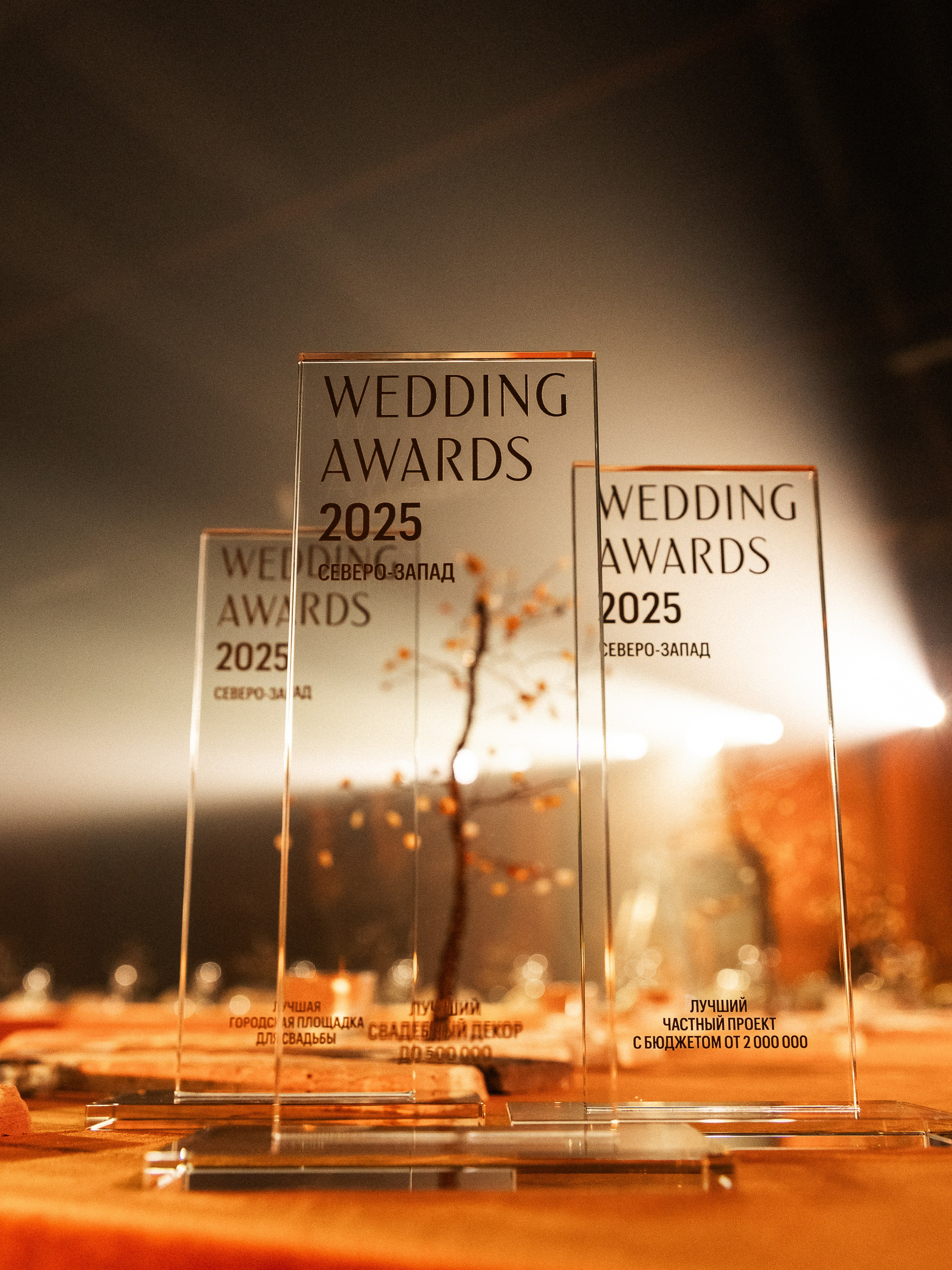 Wedding Awards NW 2025. NesterovaMaria.ru