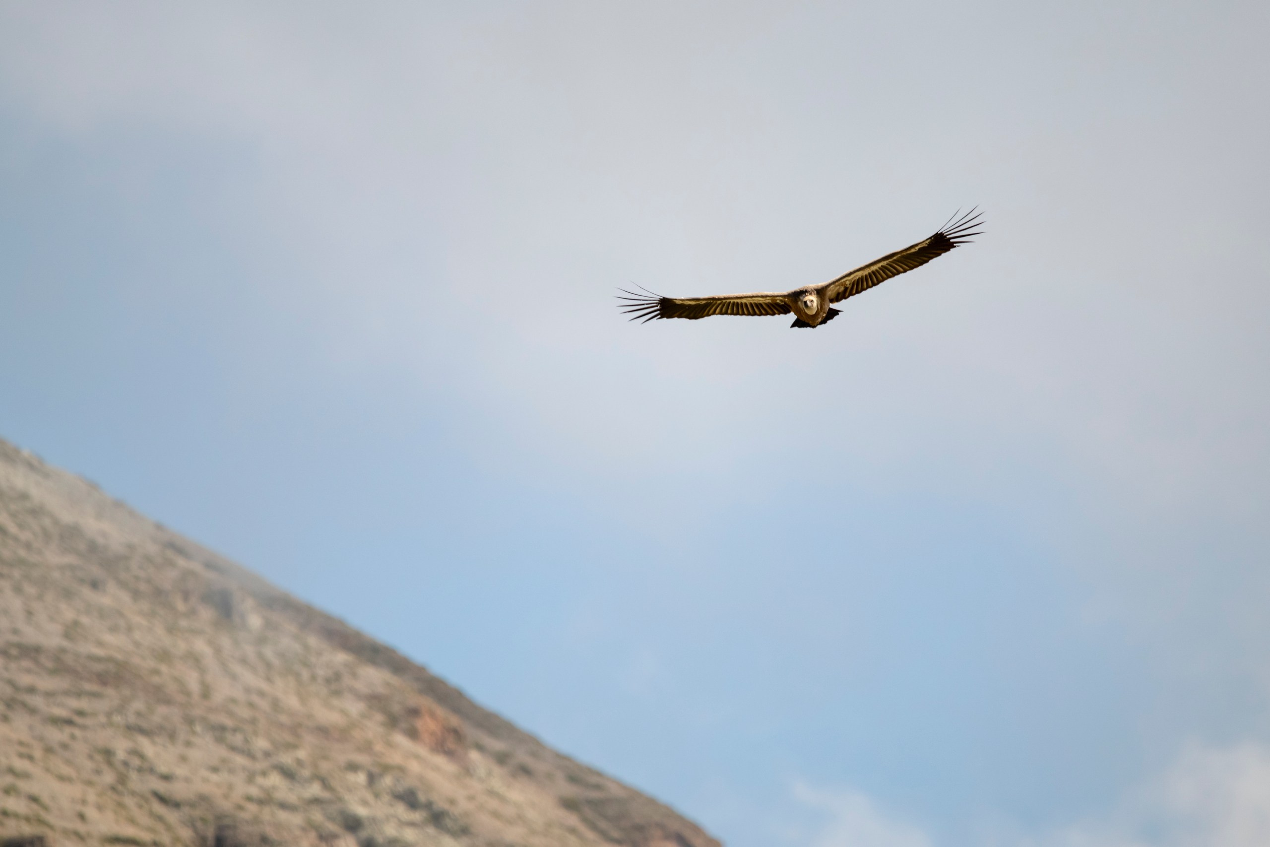 Природа Дагестана, сентябрь 2024. Foto-Zuev фотография как искусство