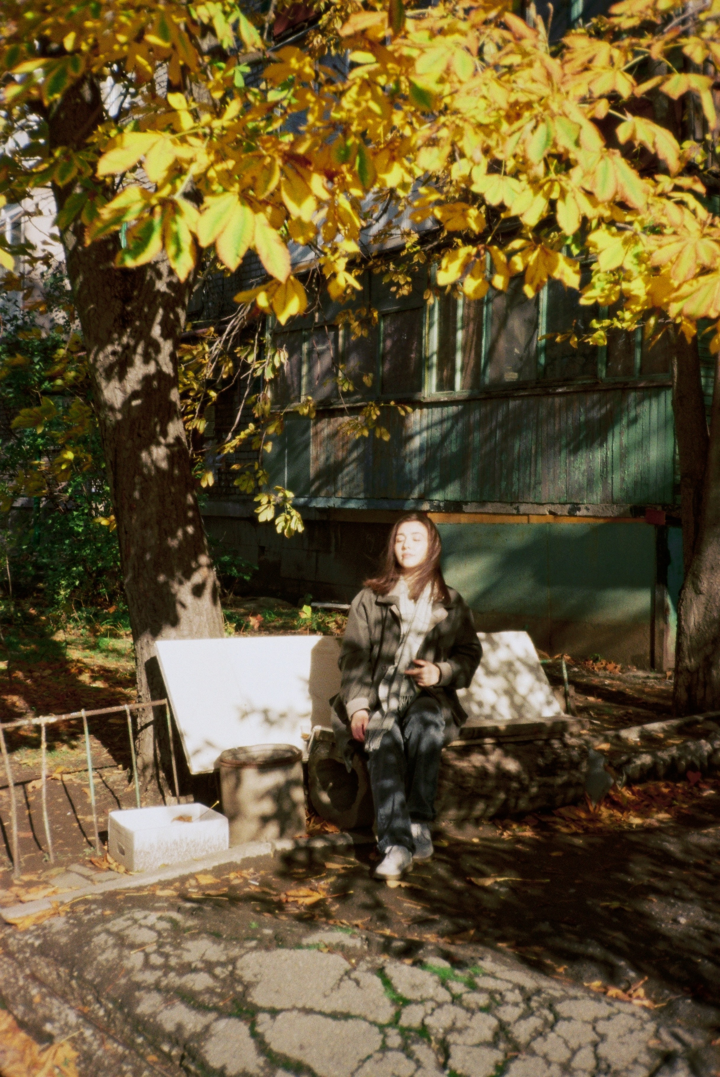 Аромат осеннего света. • Фотограф Александра Светозар Алчевск •