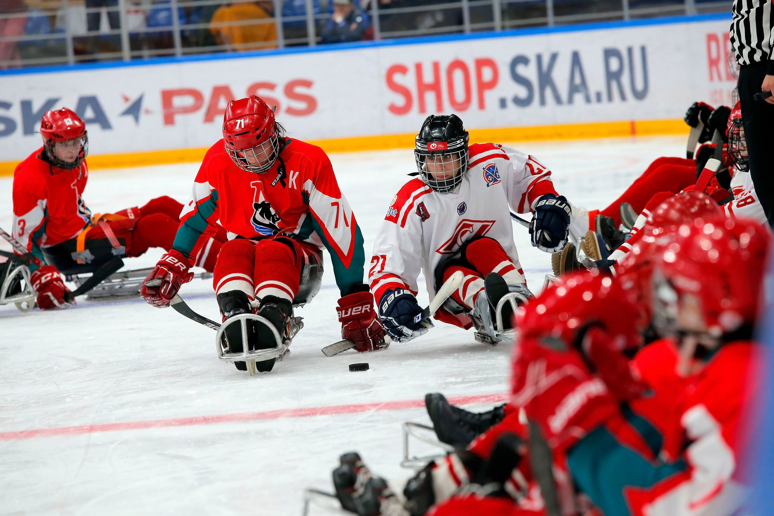 Следж-хоккей. Спортивный фотограф в Санкт-Петербурге Наталья Ксенофонтова