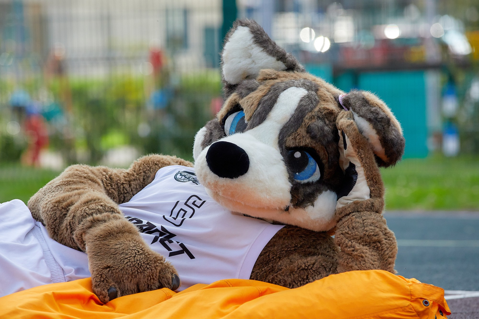 Спорт. Александр Кашин, репортажный фотограф в Челябинске и Екатеринбурге