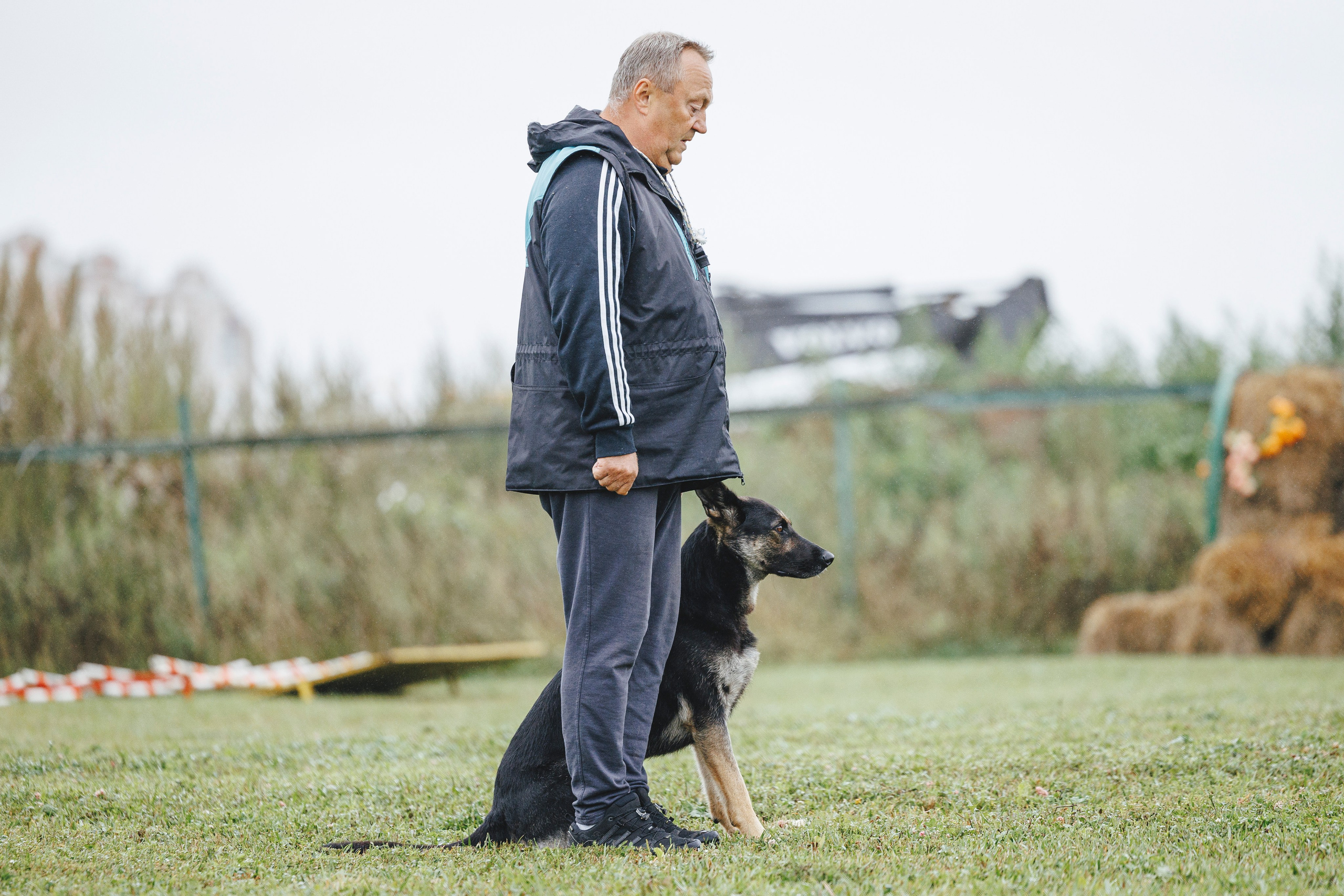 08.08.25-10.08.25 ЧР по мондьорингу г. Вологда. Фотограф-анималист Анна Маринич